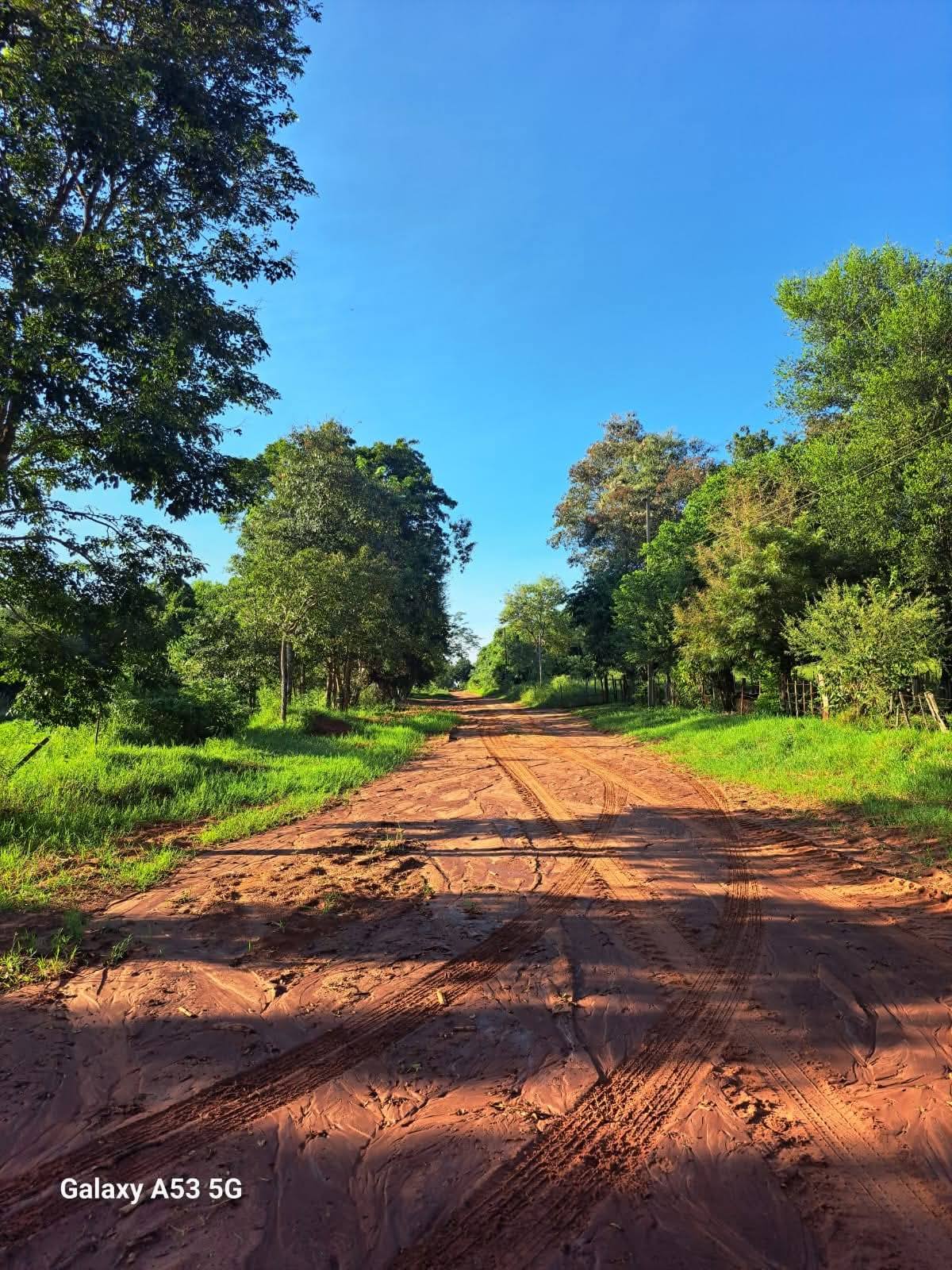 Vendo 60 has en Caaguazú cerca del 1er peaje Juan Manuel frutos 3 km de la ruta Py02 Ideal para agricultura o ganadería - 1