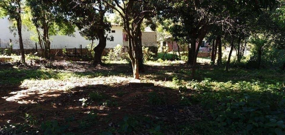 TERRENO DE 1495m2 CON TINGLADO CON EXCELENTE UBICACION SOBRE ASFALTO - imagen 2