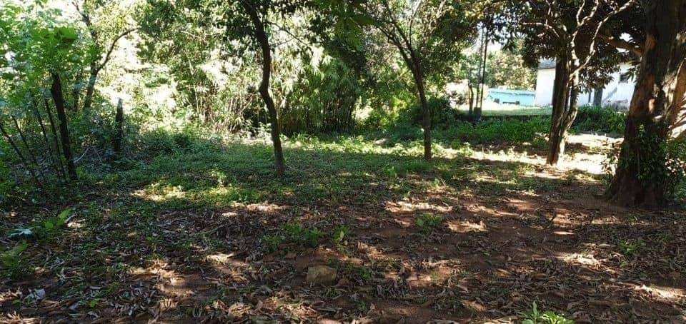 TERRENO DE 1495m2 CON TINGLADO CON EXCELENTE UBICACION SOBRE ASFALTO - imagen 3