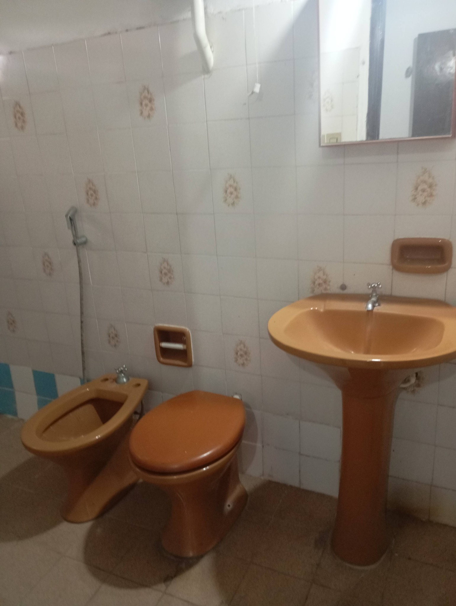 ALQUILO DEPARTAMENTO CON 2 DORMITORIOS EN LAMBARÉ - imagen 9