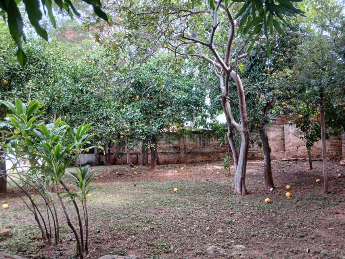 VENDO TERRENO de 940 m2 s/ Sgto Martínez a 2 cuadras de Mcal López - imagen 5