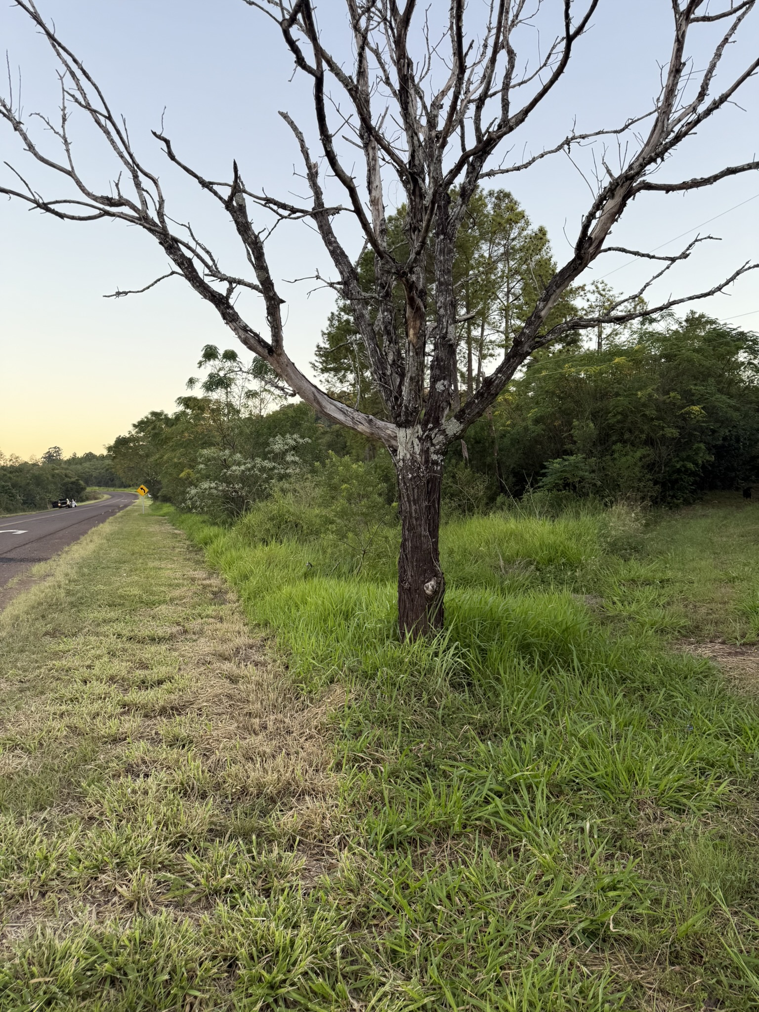 Un lote de 1000 m² en Loteo Ruta 4 arranca en USD 5.000. - imagen 2
