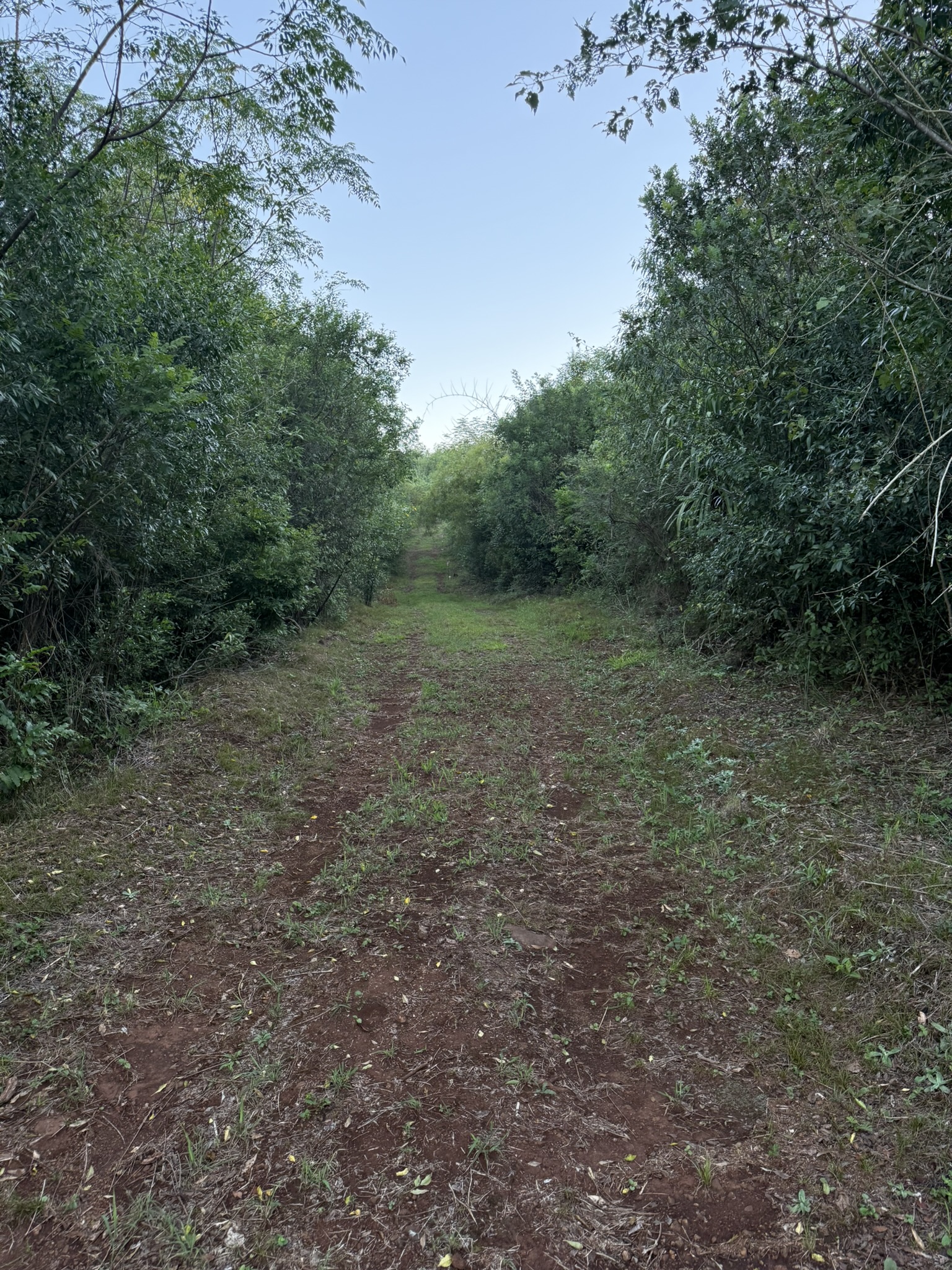 Un lote de 1000 m² en Loteo Ruta 4 arranca en USD 5.000. - imagen 3