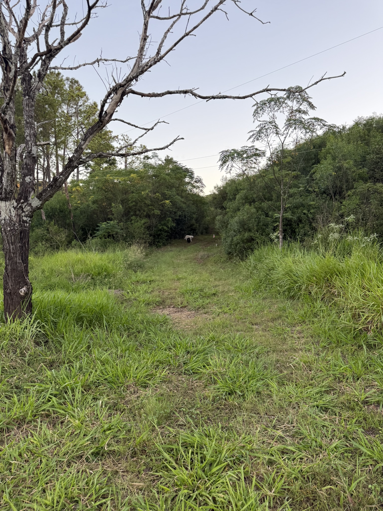 Un lote de 1000 m² en Loteo Ruta 4 arranca en USD 5.000. - imagen 4