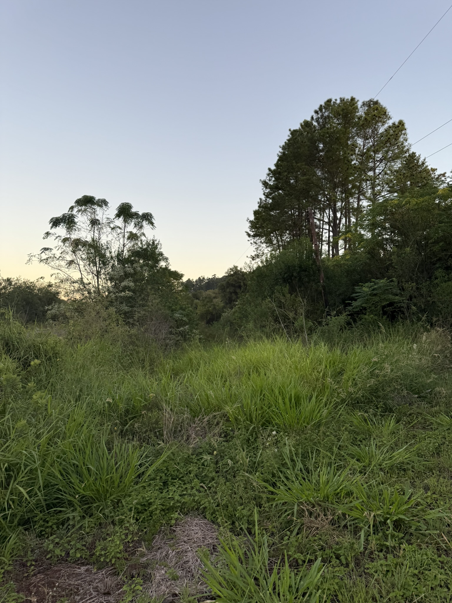 Un lote de 1000 m² en Loteo Ruta 4 arranca en USD 5.000. - imagen 5