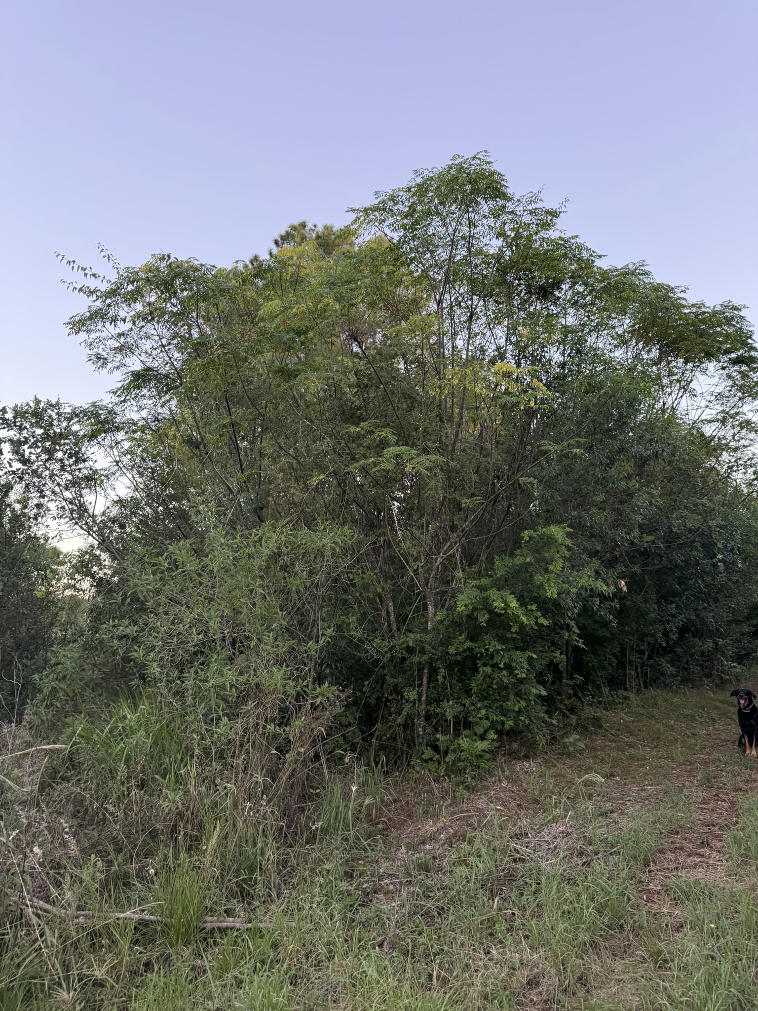 Un lote de 1000 m² en Loteo Ruta 4 arranca en USD 5.000. - imagen 6