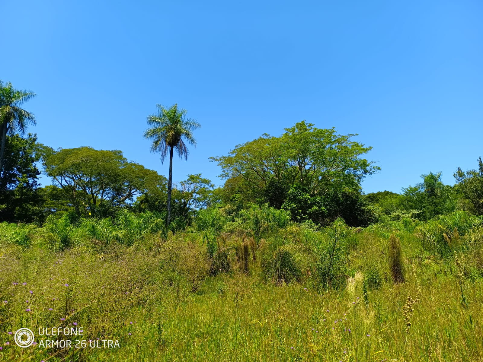 38 ha às margens do rio Tebicuarymí — Tebicuarí - imagen 2