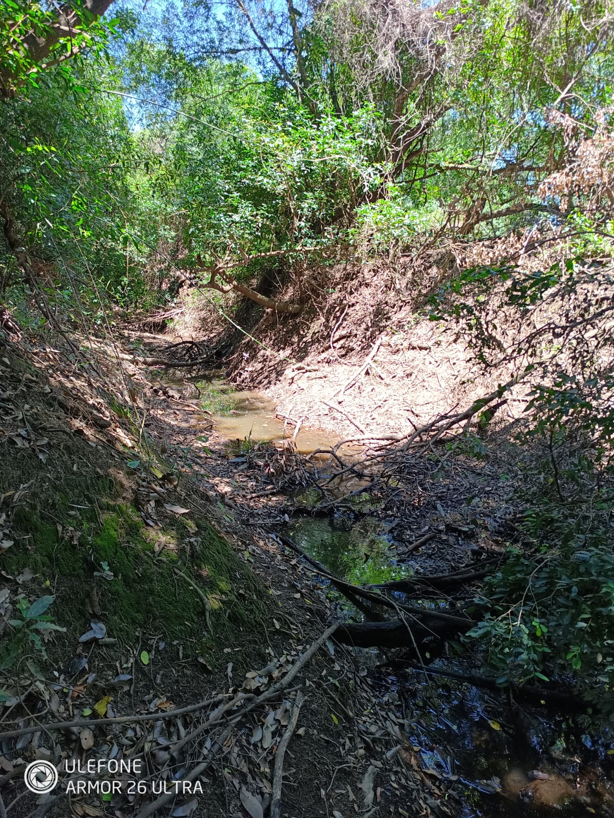 38 ha às margens do rio Tebicuarymí — Tebicuarí - imagen 5