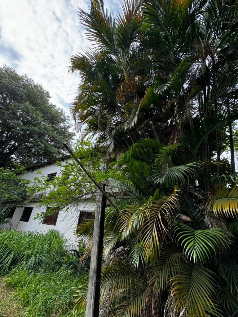 VENDO PROPIEDAD EN B° YCUA SATI - 3