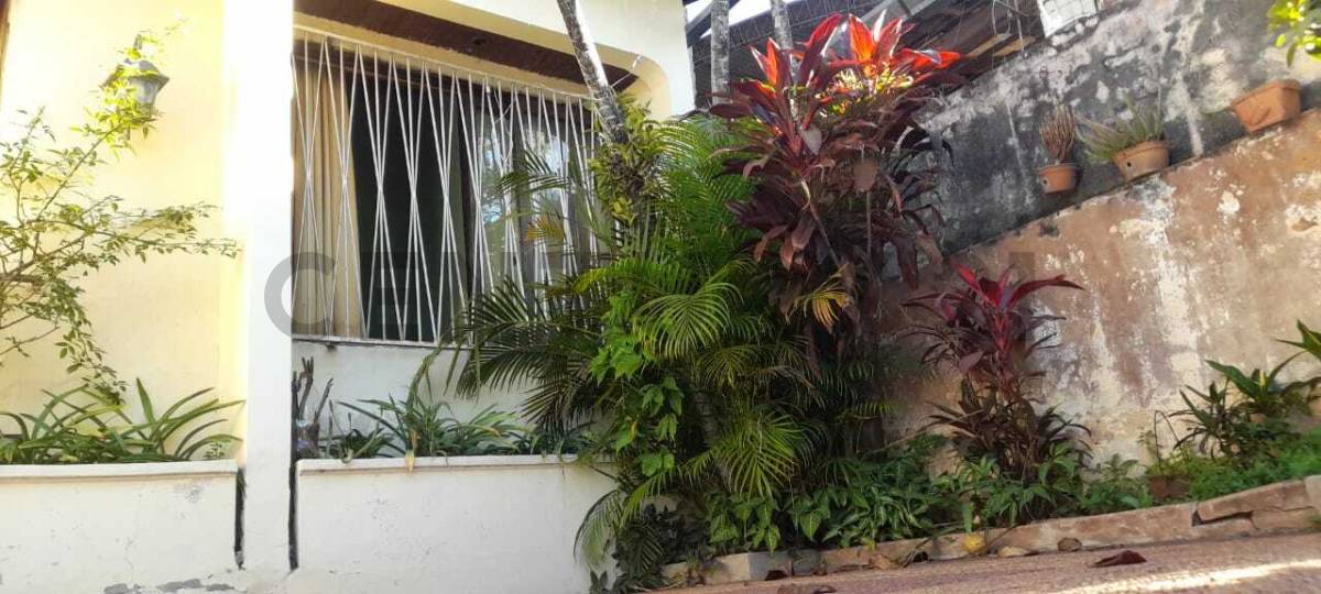 VENDO TERRENO EN SAJONIA ZONA DR PAIVA - 5