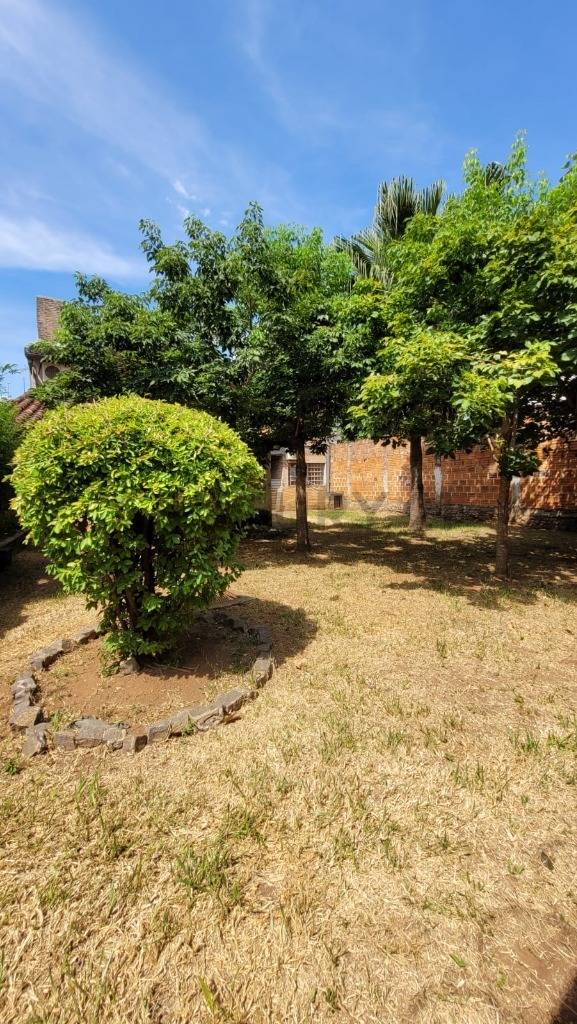 EN VENTA AMPLIA PROPIEDAD IDEAL PARA DESARROLLO A PASOS DE SANTISIMA TRINIDAD - imagen 3