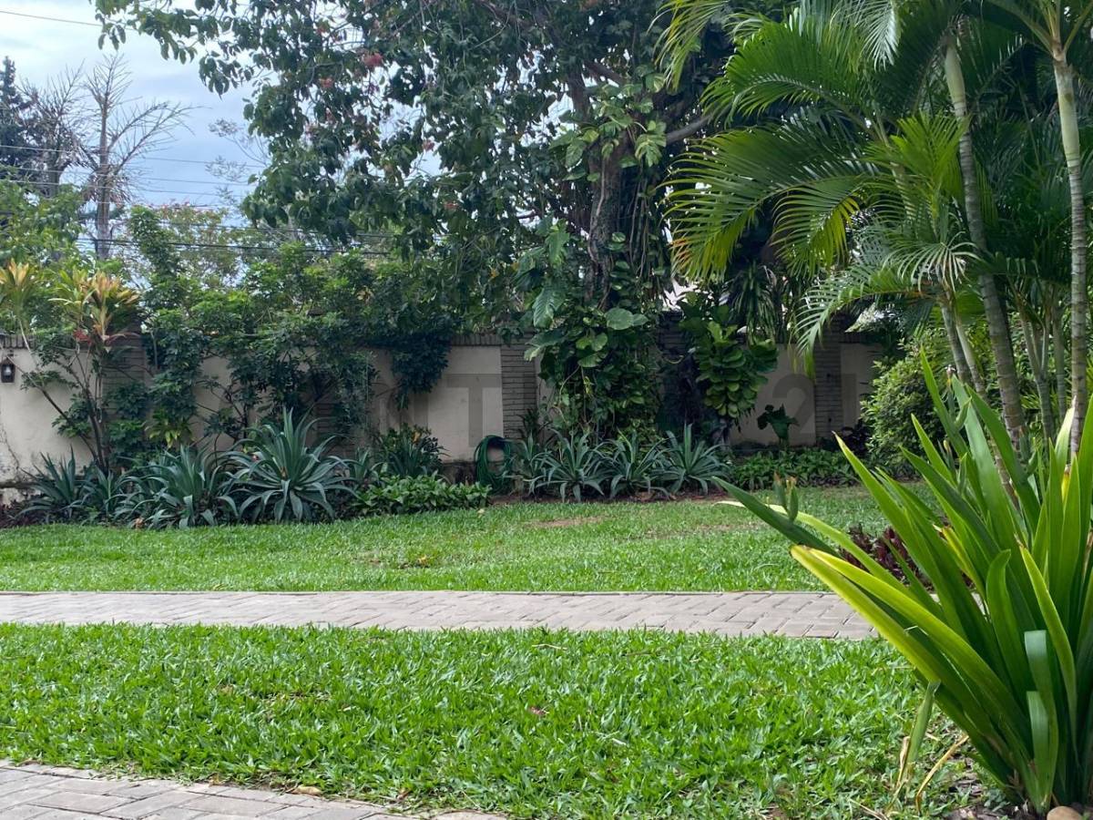 VENDO HERMOSA CASA COLONIAL - imagen 11