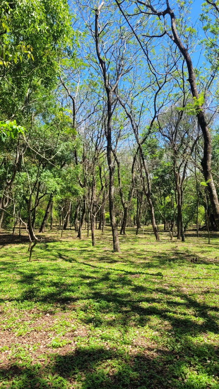🌿 FERIADO LARGO EN LA NATURALEZA 🌿 - imagen 4