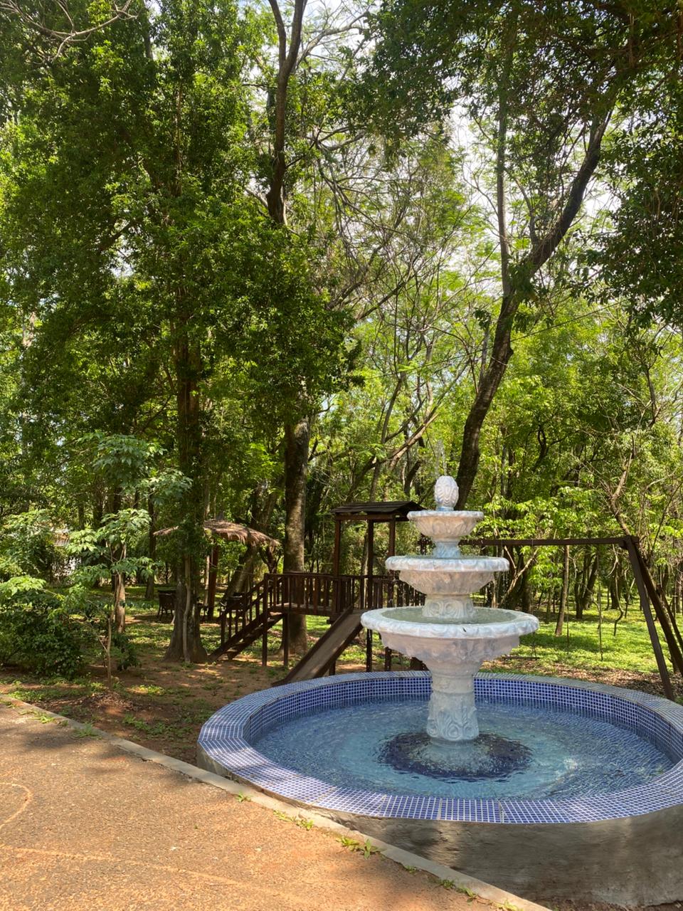 🌿 FERIADO LARGO EN LA NATURALEZA 🌿 - imagen 5