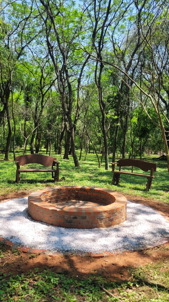 🌿 FERIADO LARGO EN LA NATURALEZA 🌿 - imagen 6