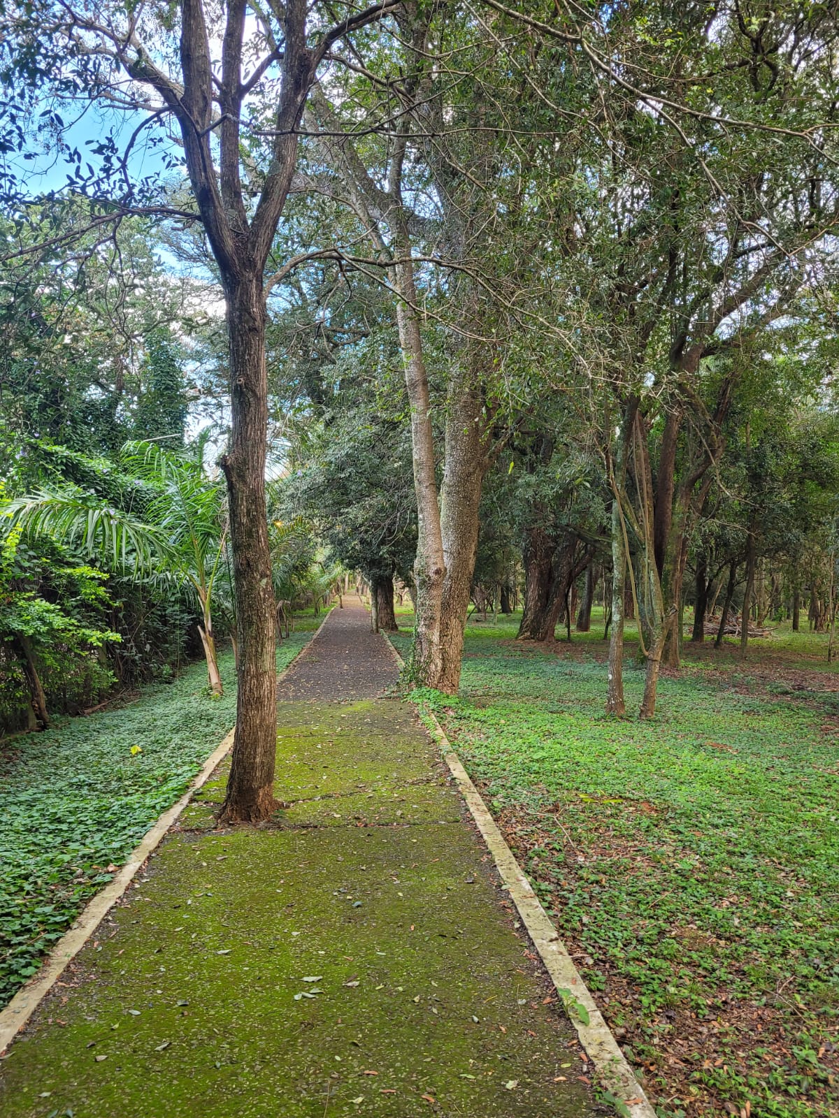 🌿 FERIADO LARGO EN LA NATURALEZA 🌿 - imagen 8