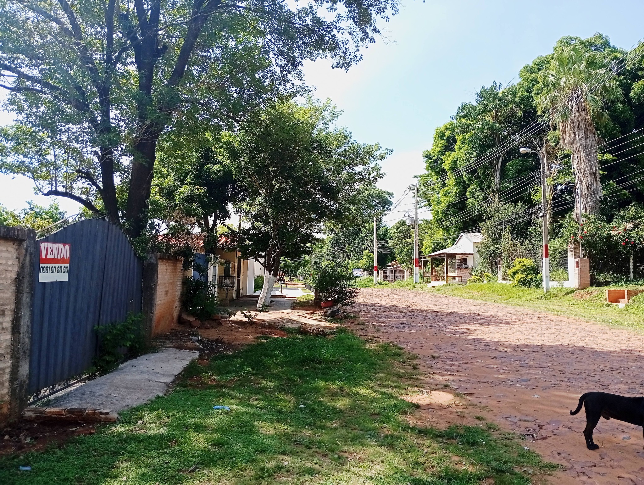 🛑TERRENO SAN ANTONIO-VILLA ELISA🛑 - 3