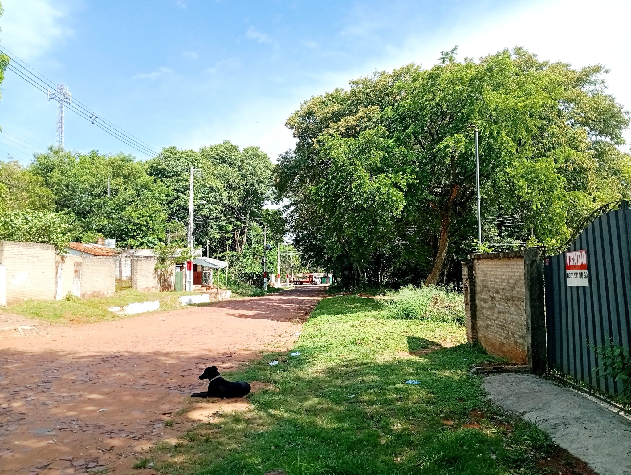 🛑TERRENO SAN ANTONIO-VILLA ELISA🛑 - 4