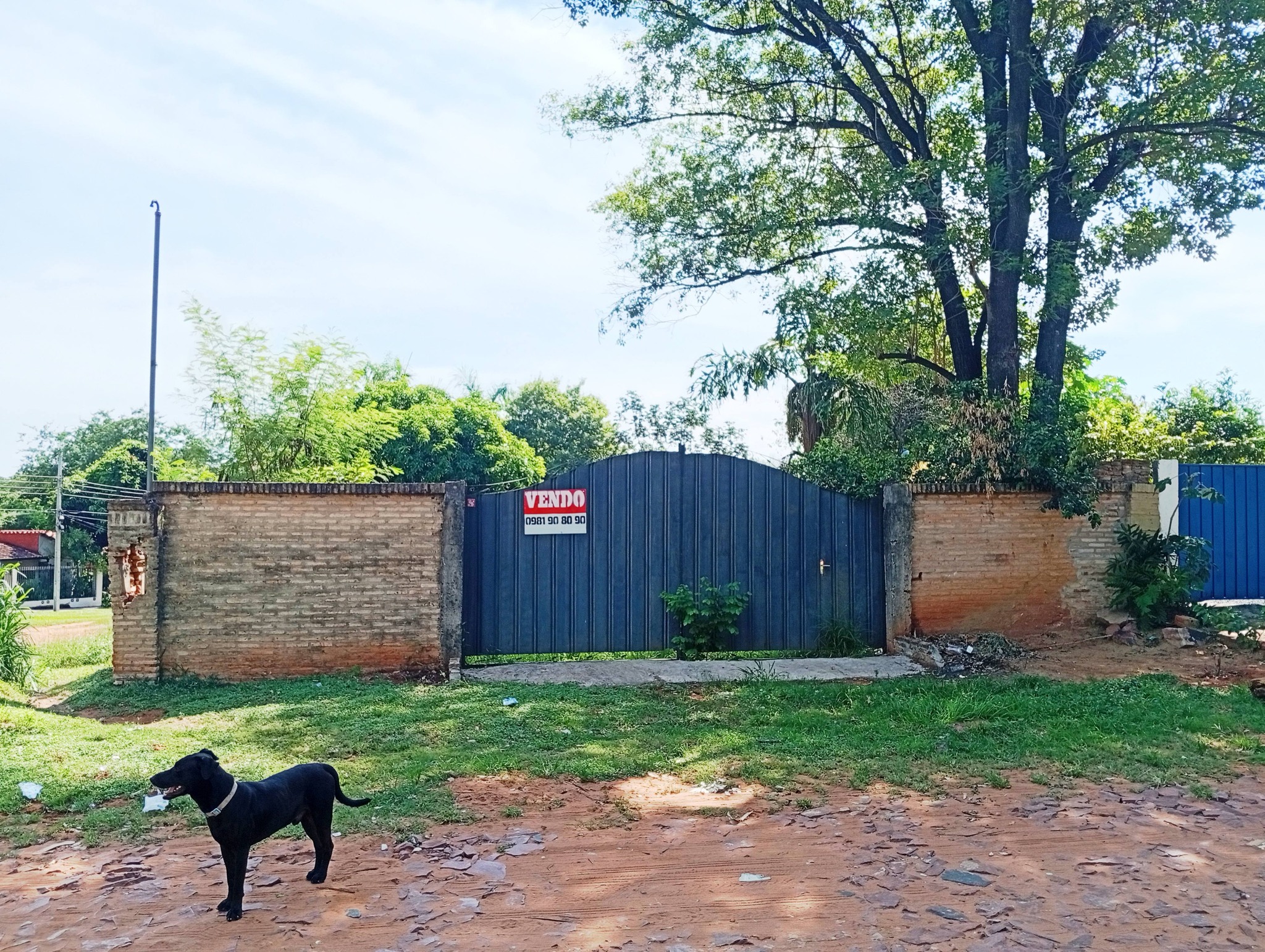 🛑TERRENO SAN ANTONIO-VILLA ELISA🛑 - 7