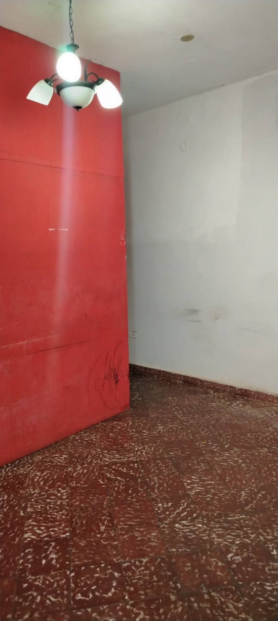 🏡✨ ¡OPORTUNIDAD ÚNICA EN LUQUE – IDEAL PARA VIVIENDA O NEGOCIO! ✨🏡 - 3