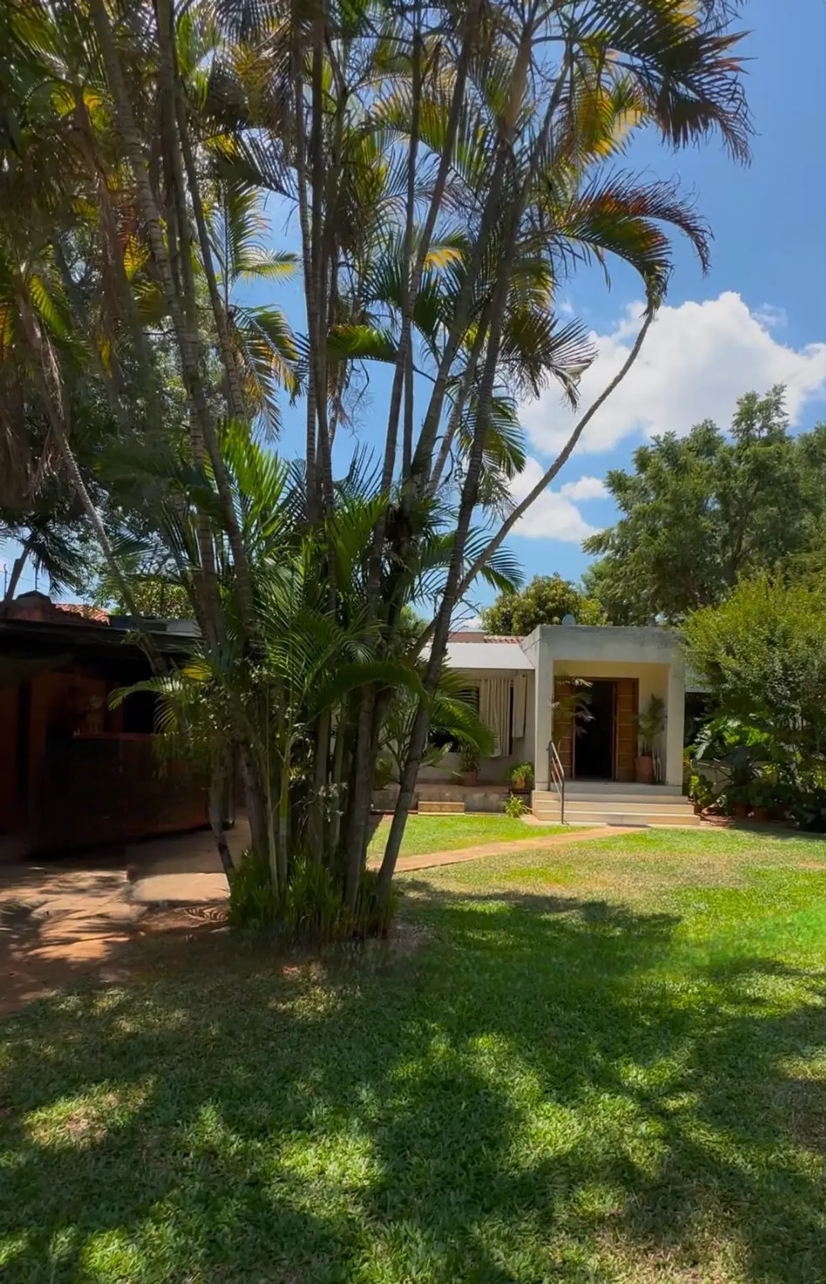 Terreno Exclusivo en Ycua Sati: 972 m² con Potencial de Desarrollo Inigualable - 1