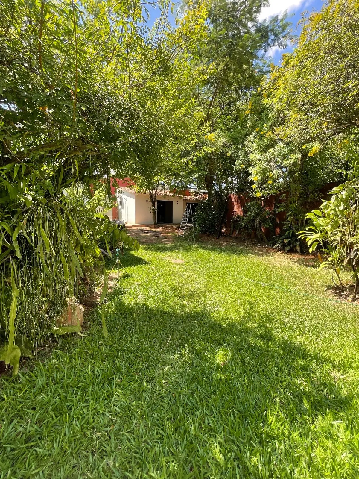 Terreno Exclusivo en Ycua Sati: 972 m² con Potencial de Desarrollo Inigualable - 2