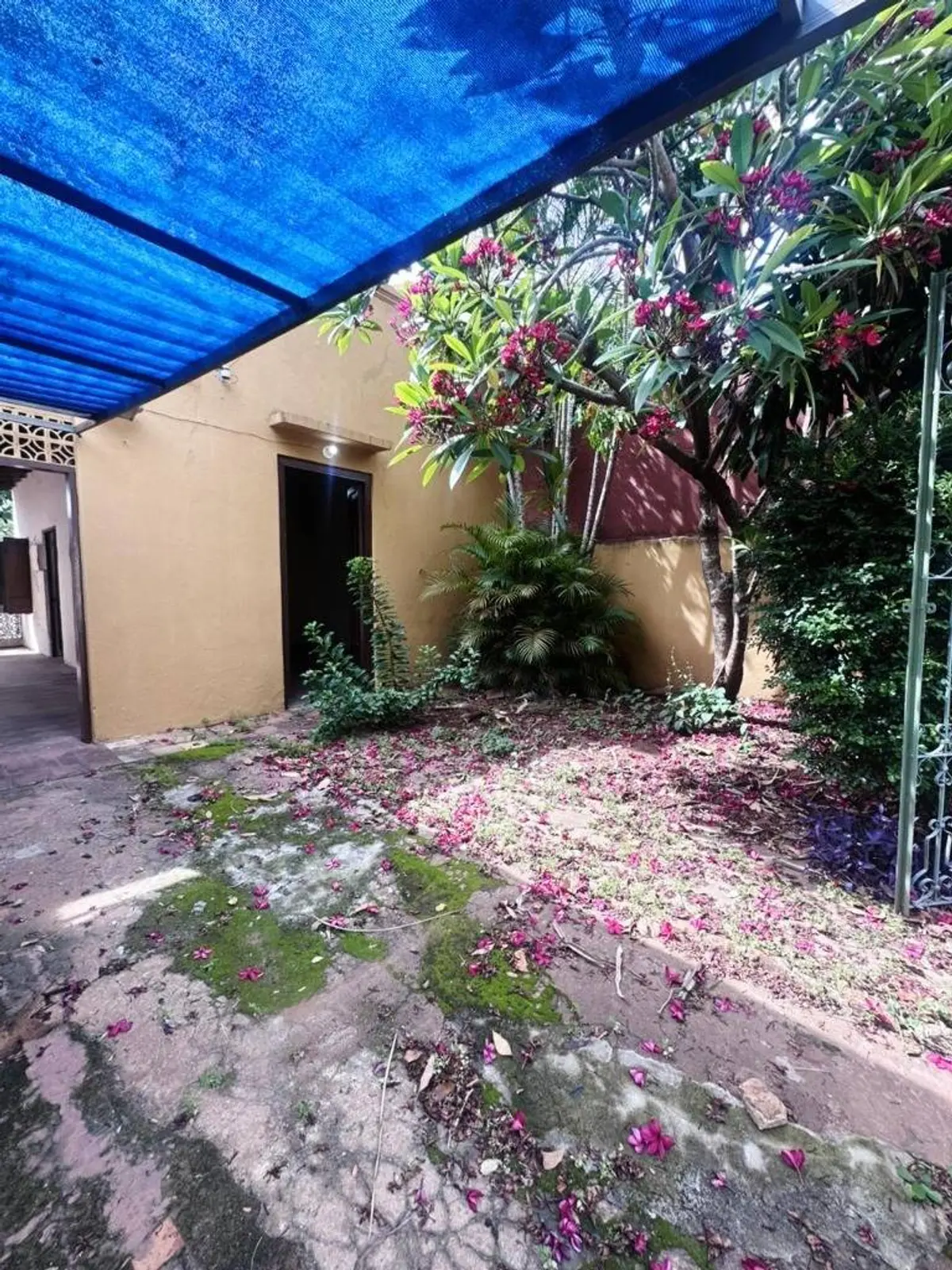 VENDO CASA A REFACCIONAR EN ZONA CENTRO DE ASUNCIÓN - 2