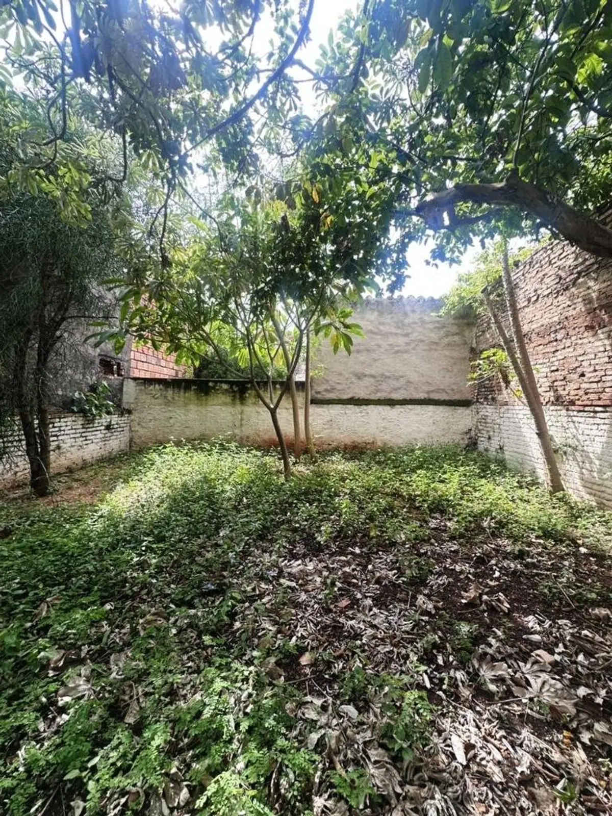 VENDO CASA A REFACCIONAR EN ZONA CENTRO DE ASUNCIÓN - 6