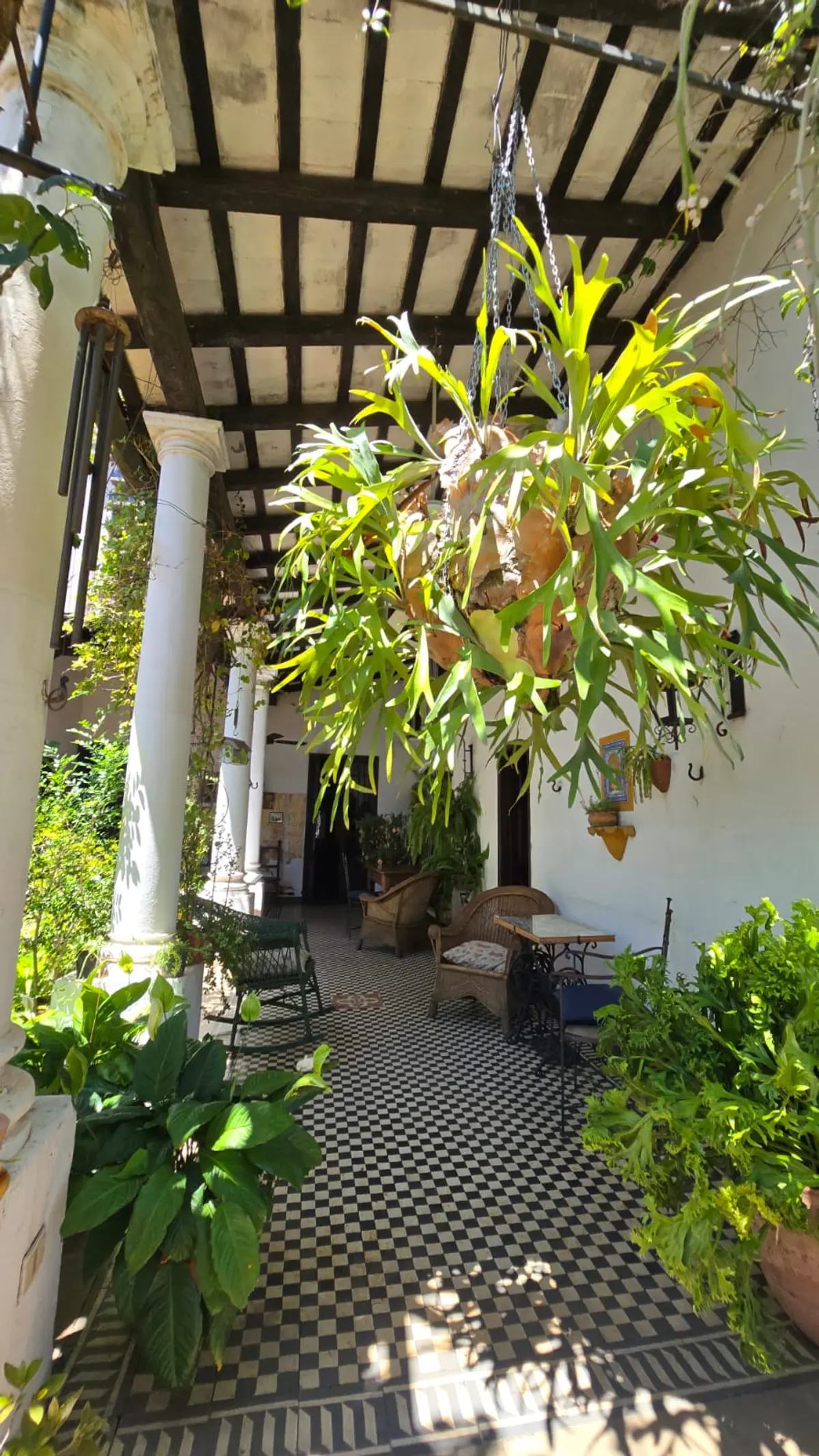 Vendo Casa Colonial De 490 M2, Sobre Mcal. Estigarribia - Lho7795266 - imagen 4