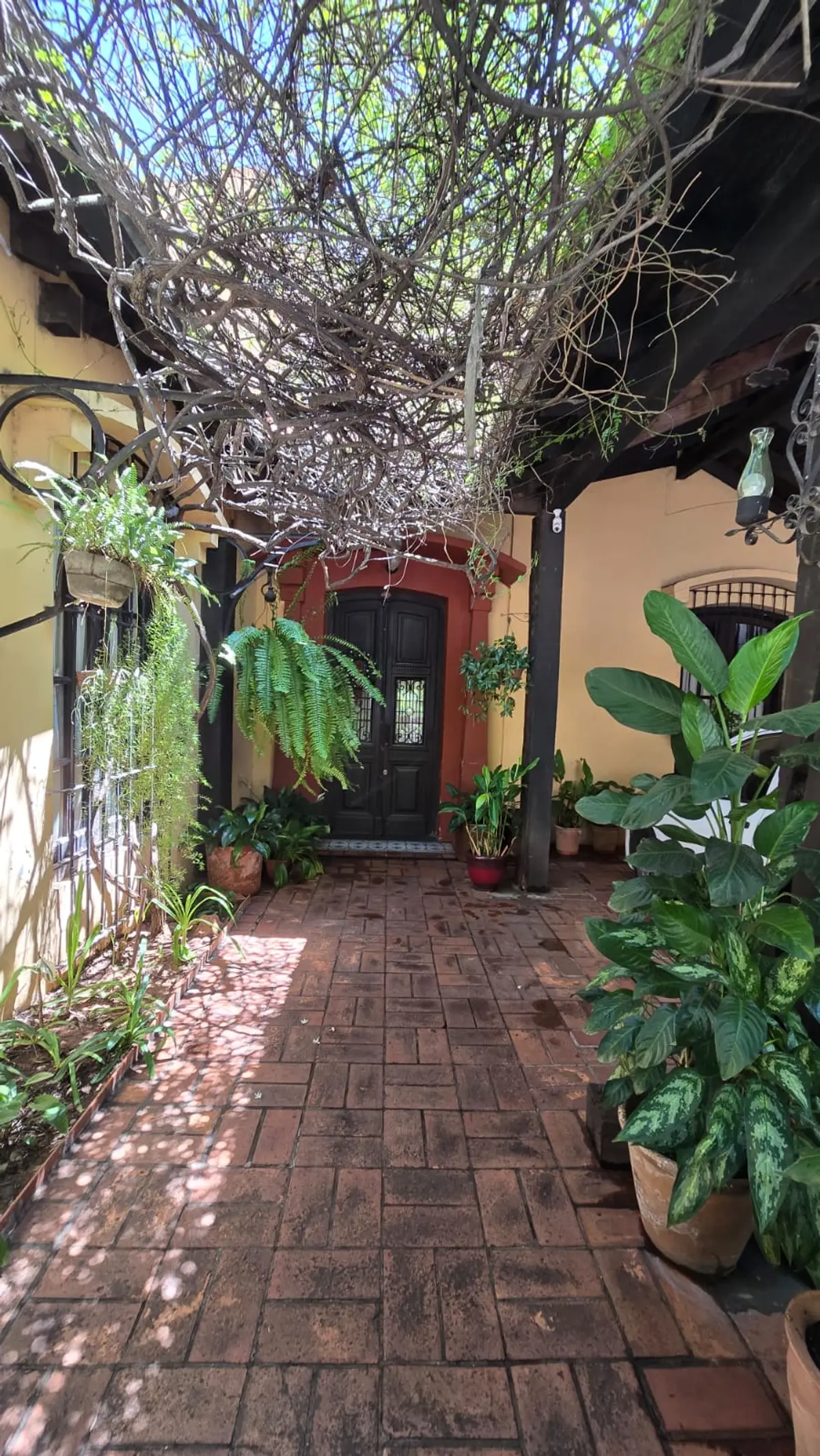 Vendo Casa Colonial De 490 M2, Sobre Mcal. Estigarribia - Lho7795266 - imagen 5
