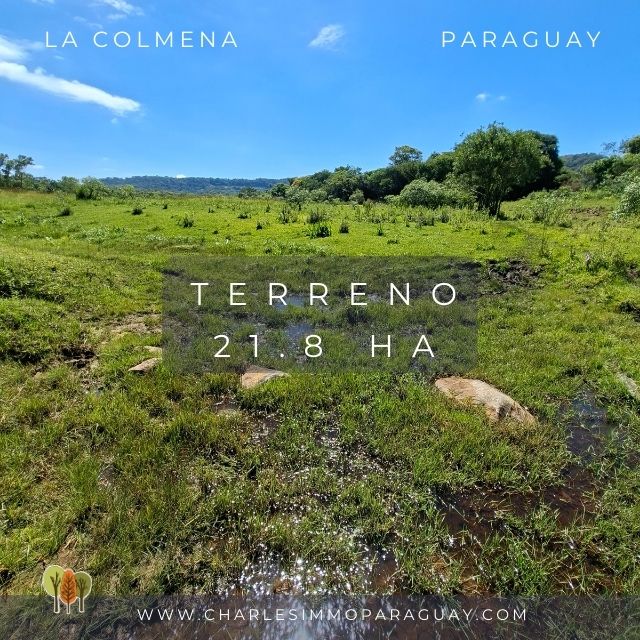 Terreno en Venta – 21,8 ha – La Colmena, Paraguay - 1