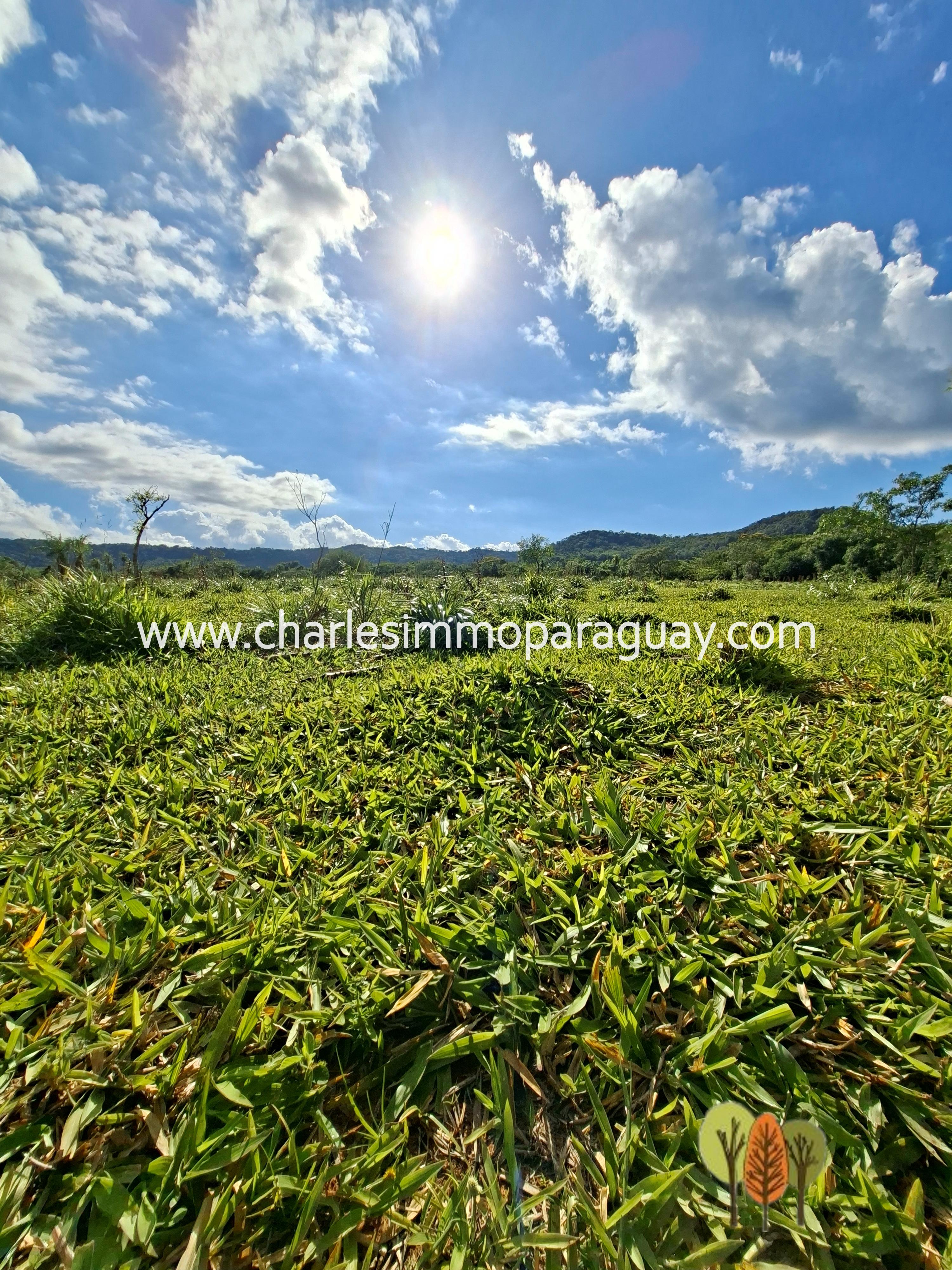 Terreno en Venta – 21,8 ha – La Colmena, Paraguay - 2
