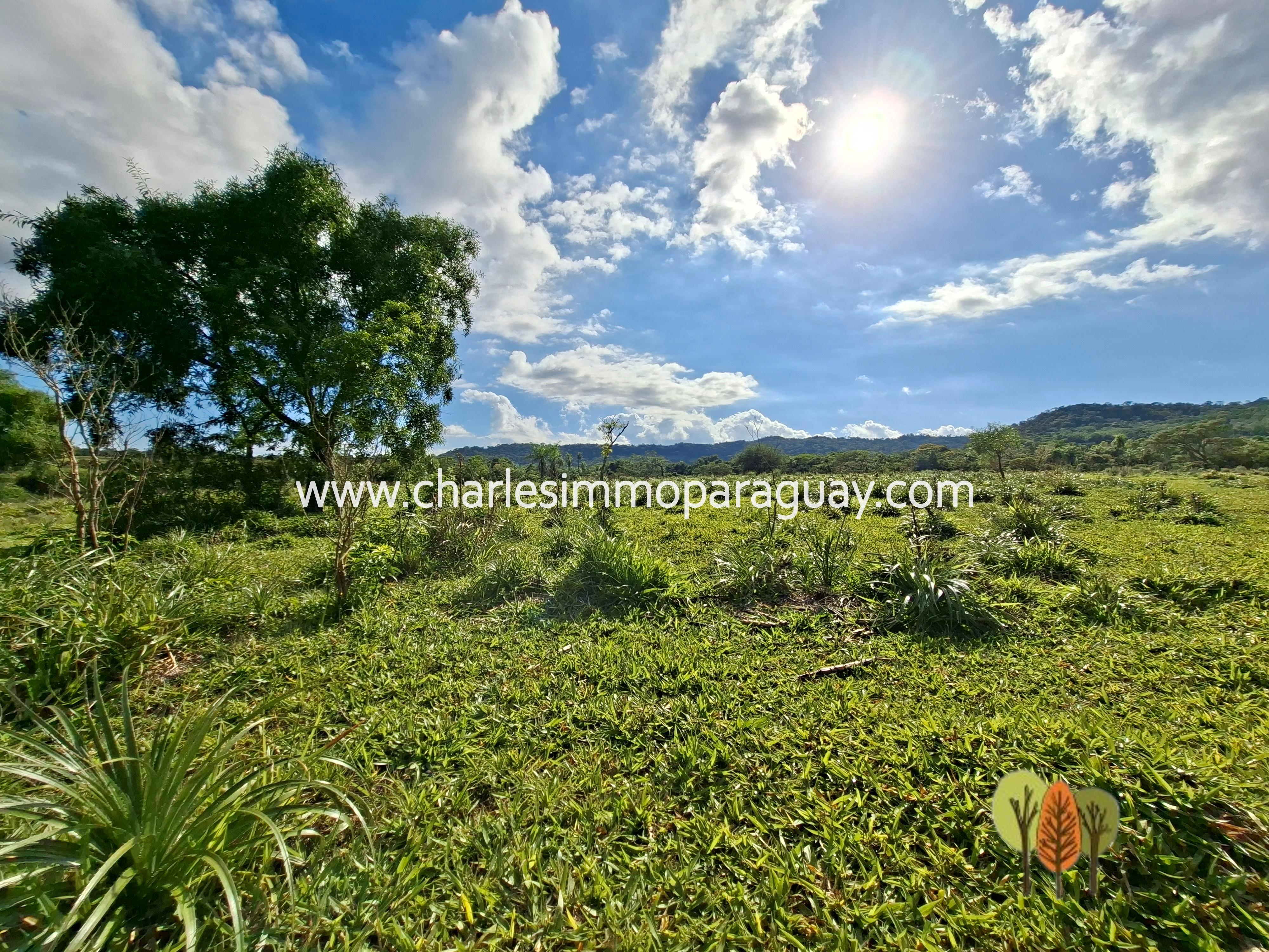 Terreno en Venta – 21,8 ha – La Colmena, Paraguay - 3