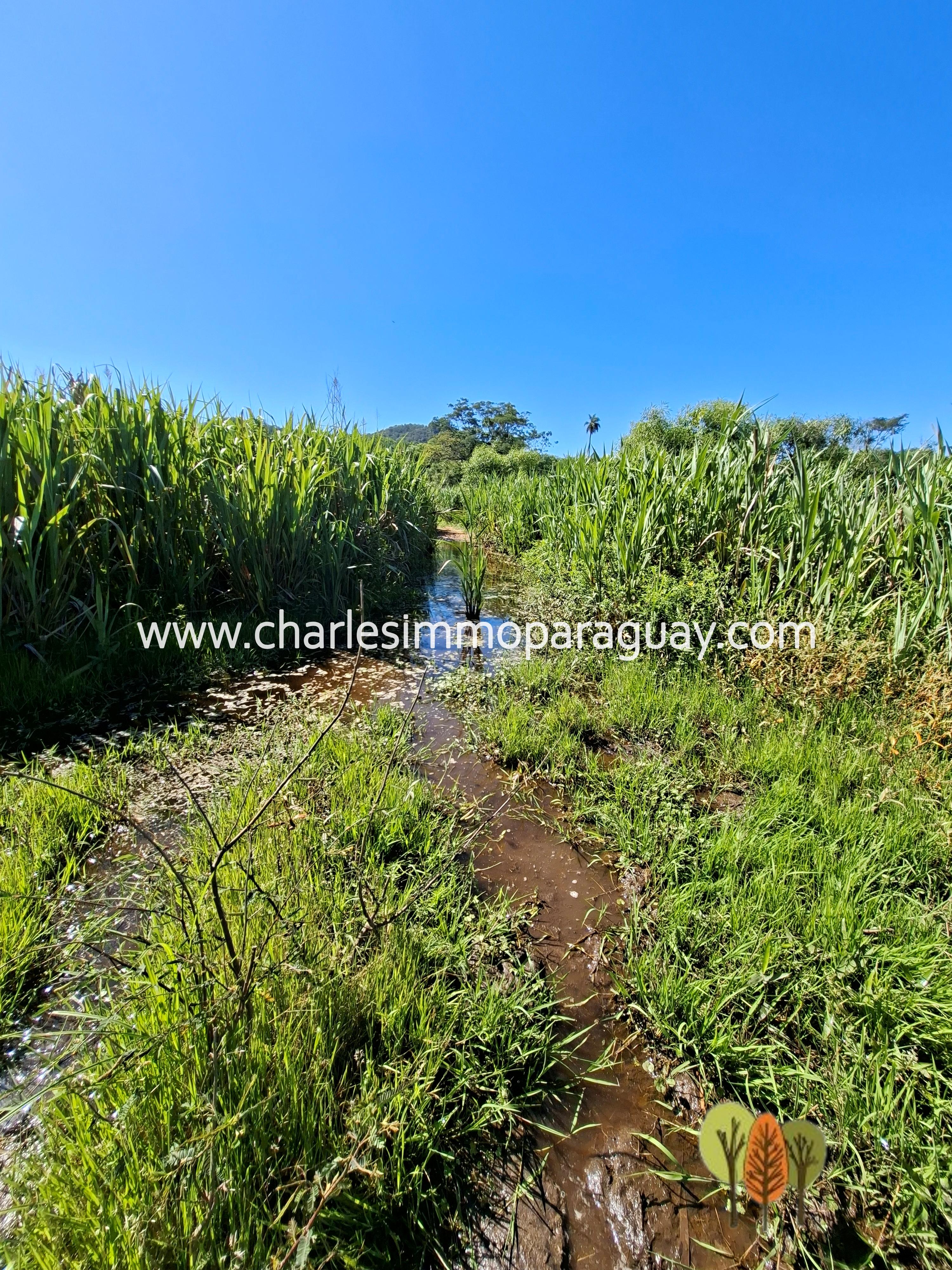 Terreno en Venta – 21,8 ha – La Colmena, Paraguay - 5
