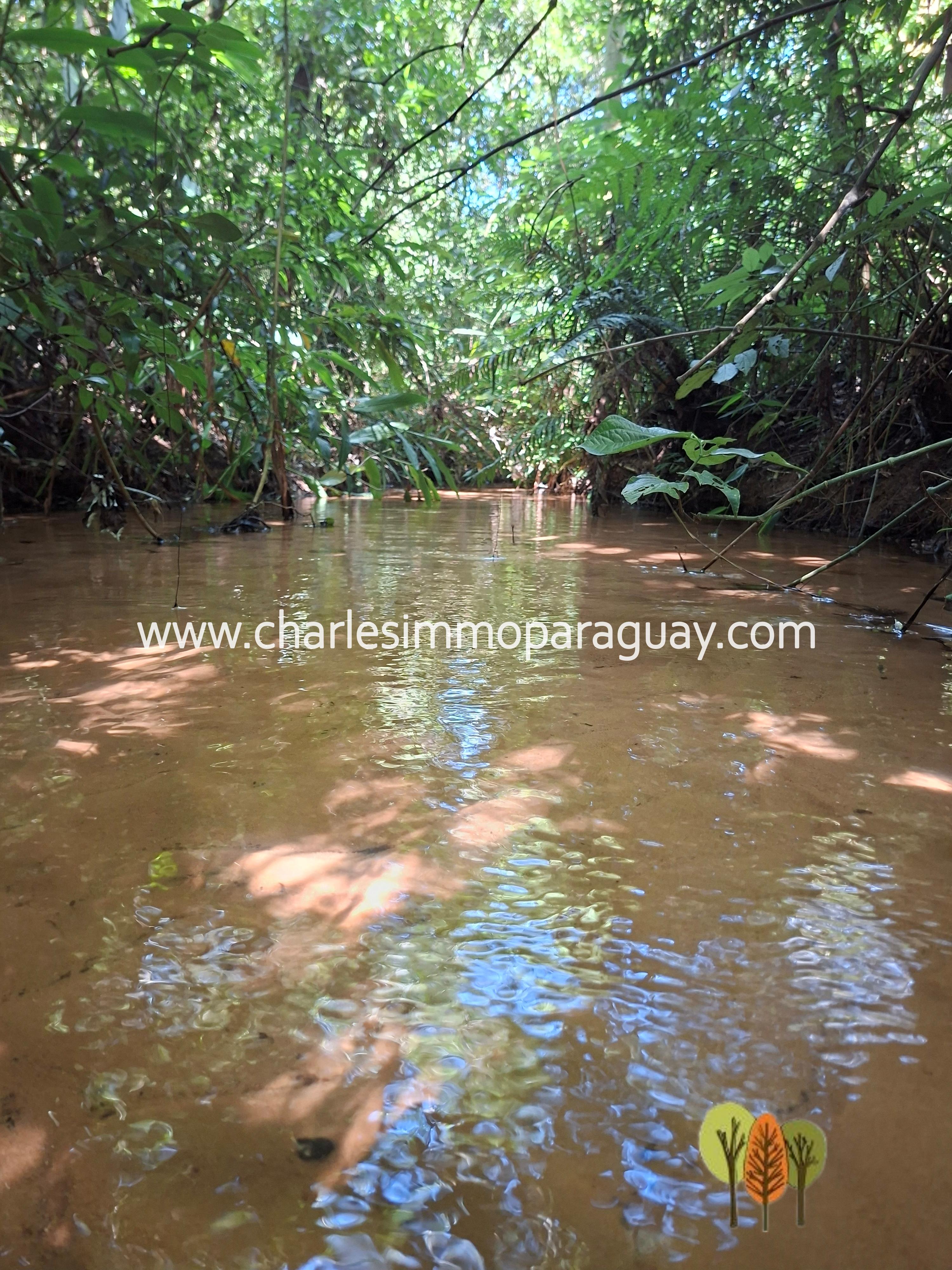 Terreno en Venta – 21,8 ha – La Colmena, Paraguay - 6