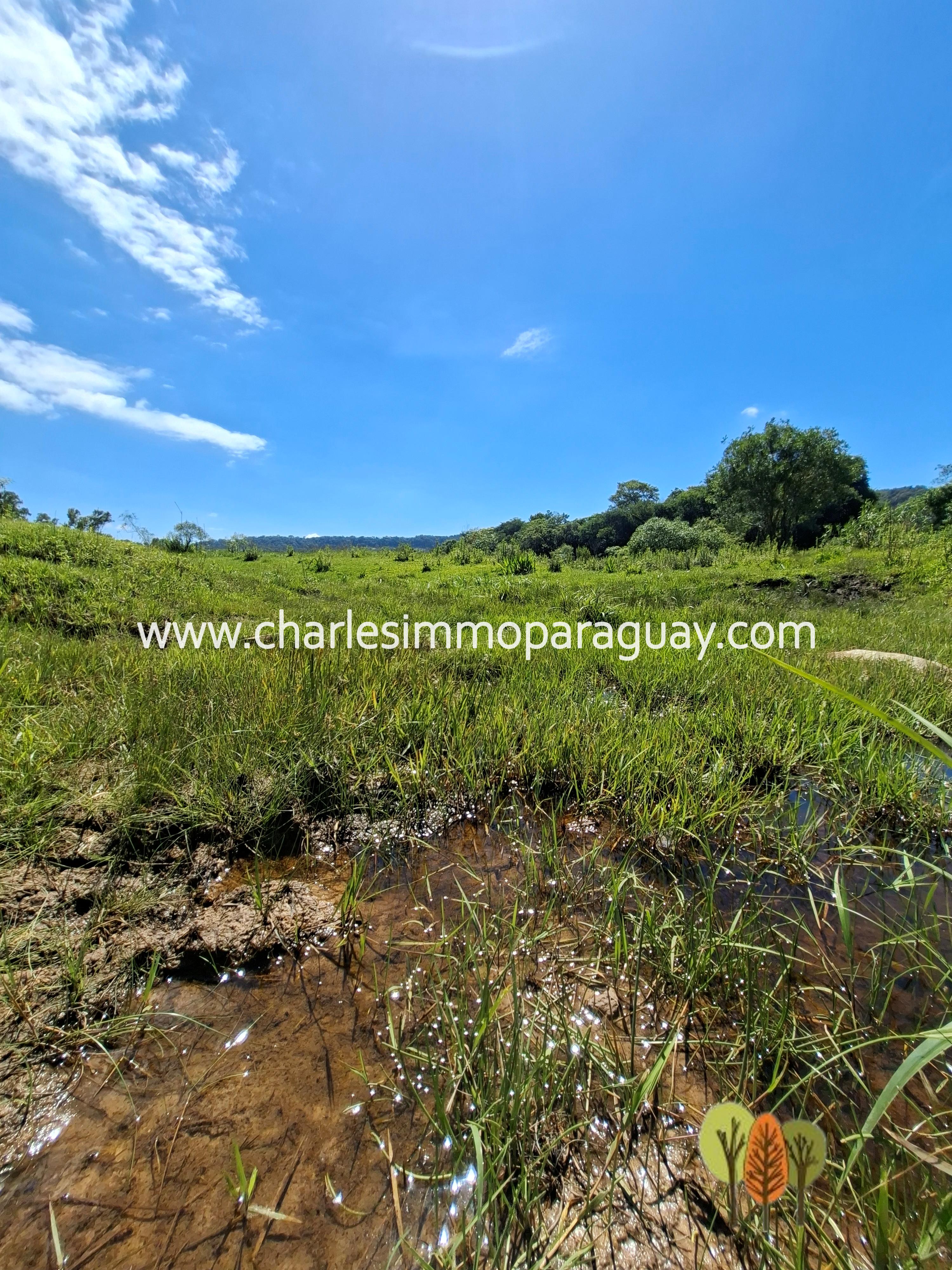 Terreno en Venta – 21,8 ha – La Colmena, Paraguay - 7