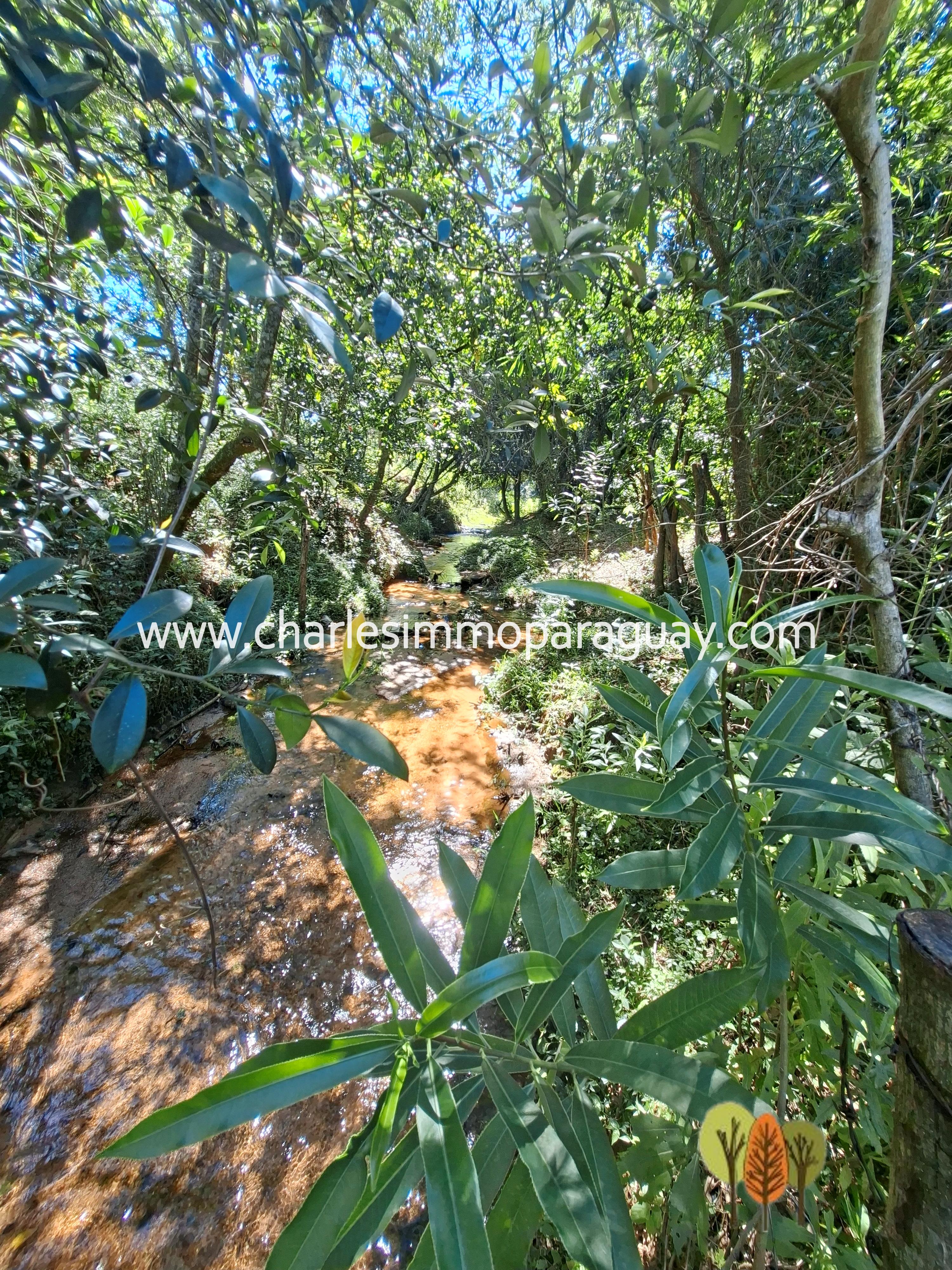 Terreno en Venta – 21,8 ha – La Colmena, Paraguay - 8