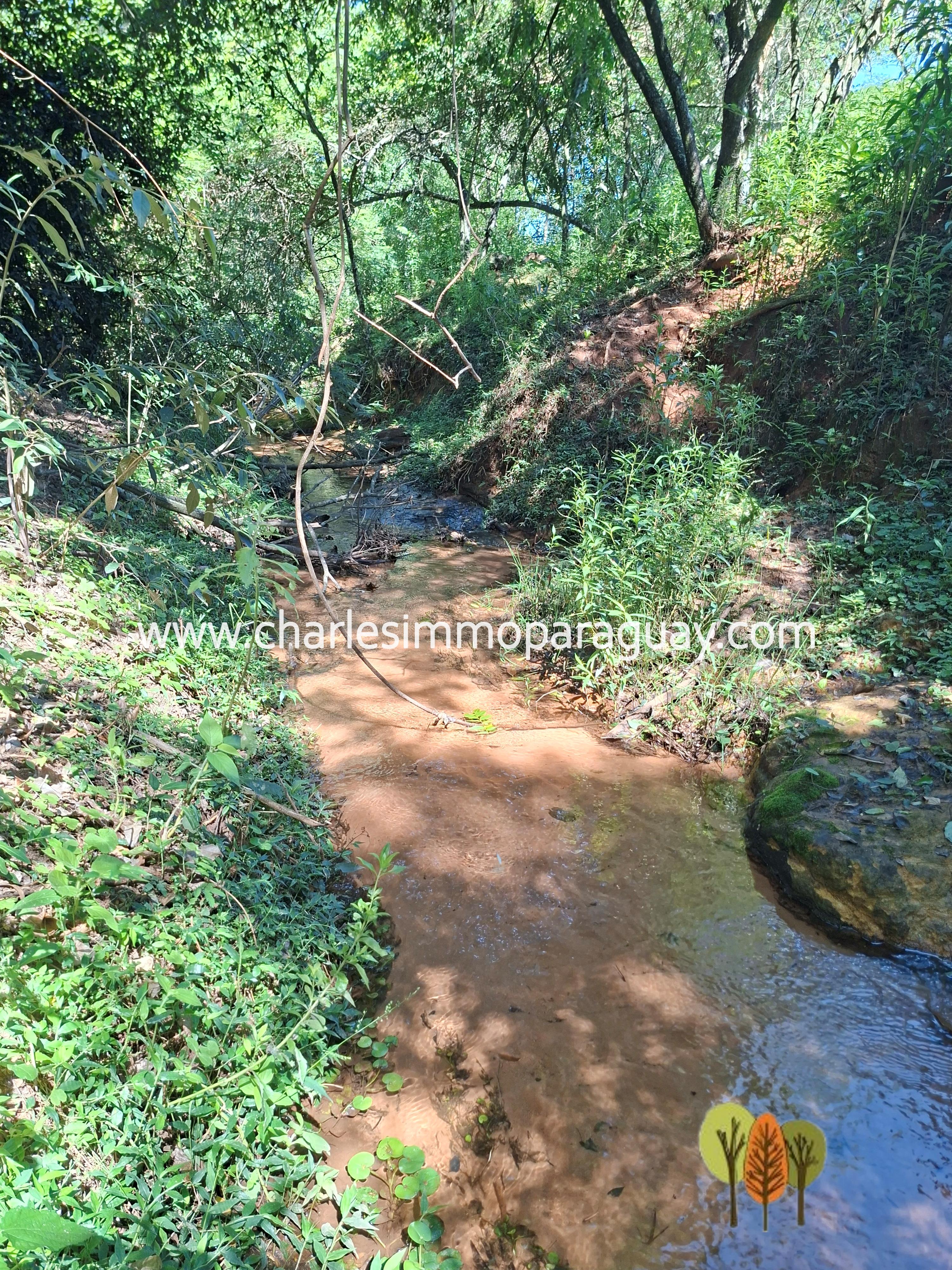 Terreno en Venta – 21,8 ha – La Colmena, Paraguay - 9