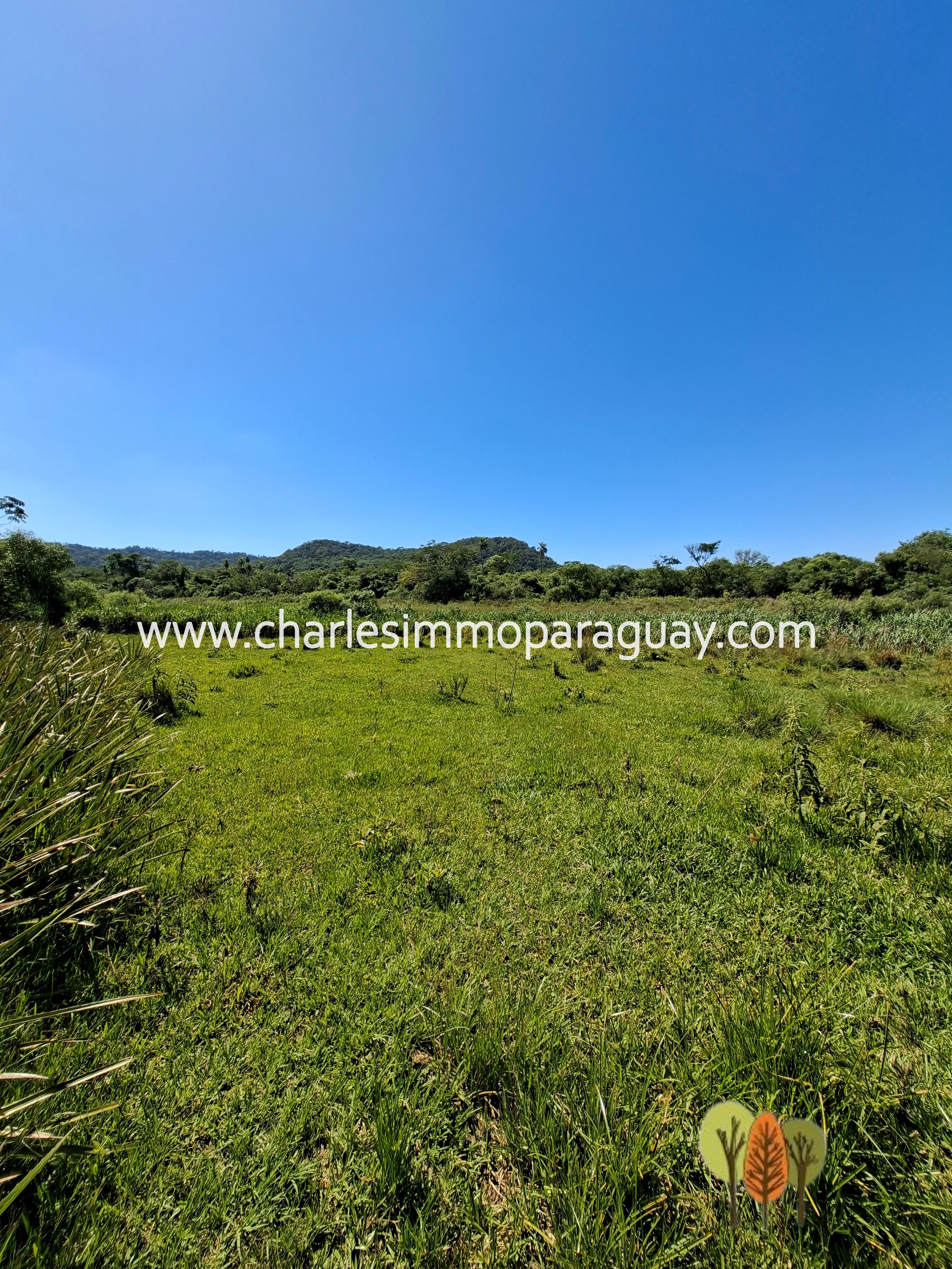 Terreno en Venta – 21,8 ha – La Colmena, Paraguay - 11