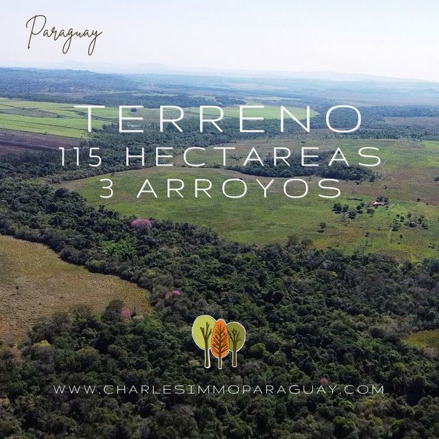 En venta Terreno 115 Hectáreas - LA COLMENA - 1