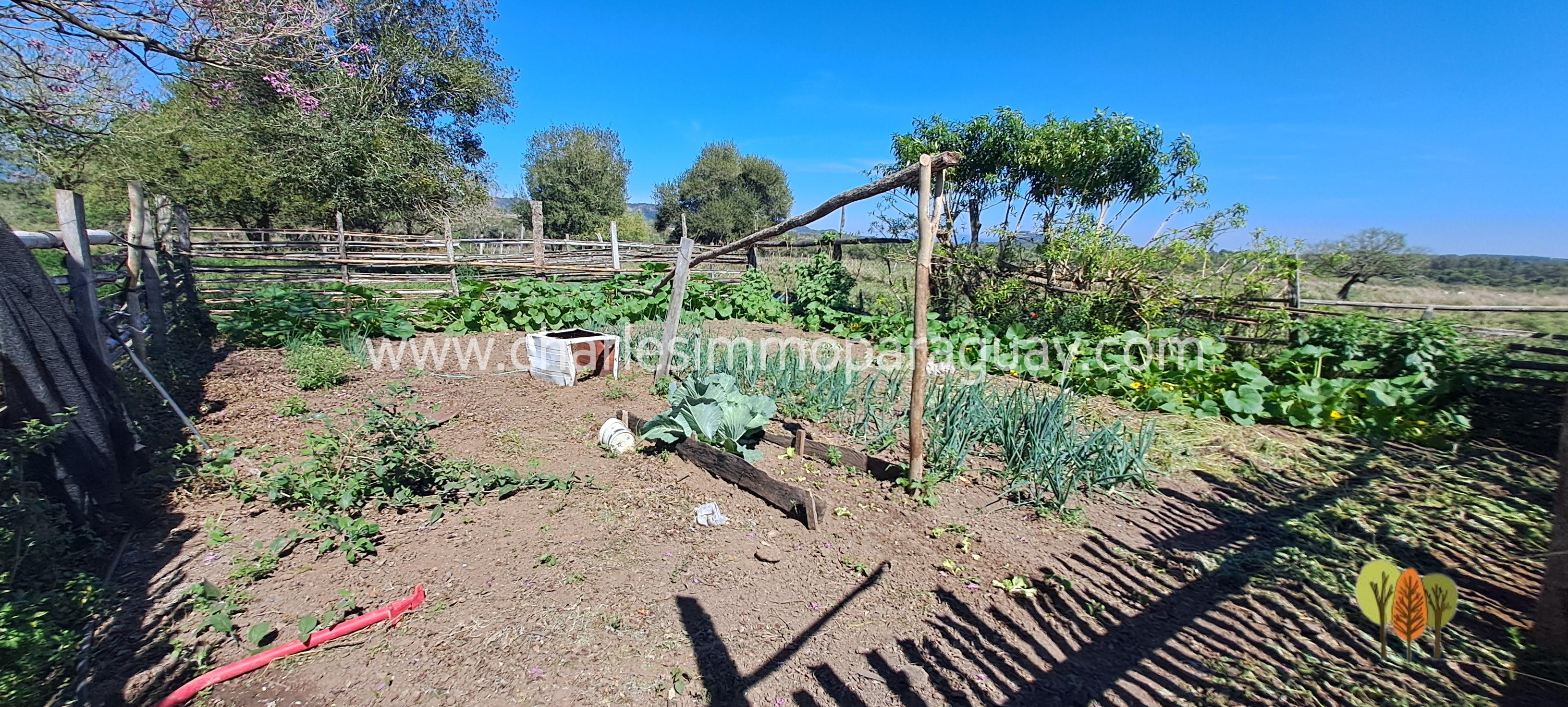 En venta Terreno 115 Hectáreas - LA COLMENA - 3