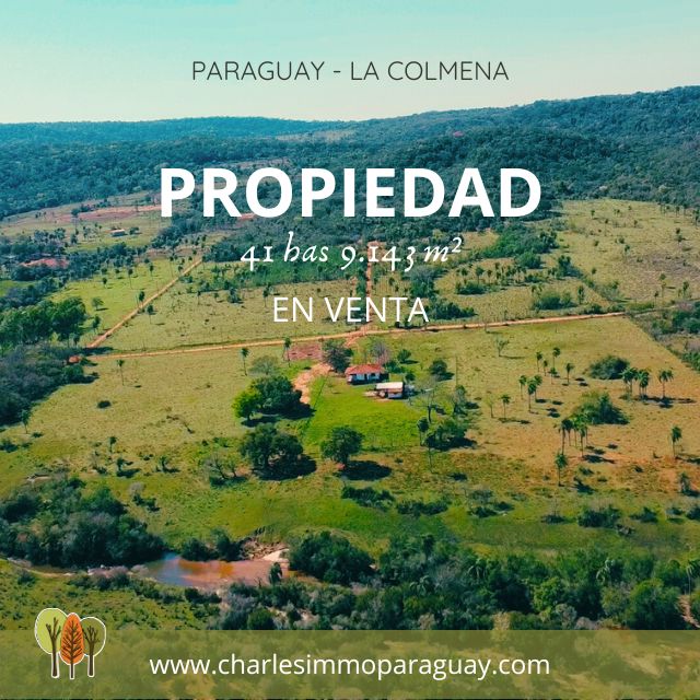 Propiedad de 41,9 ha en venta – Arroyos, playa y vistas únicas - La Colmena - 1
