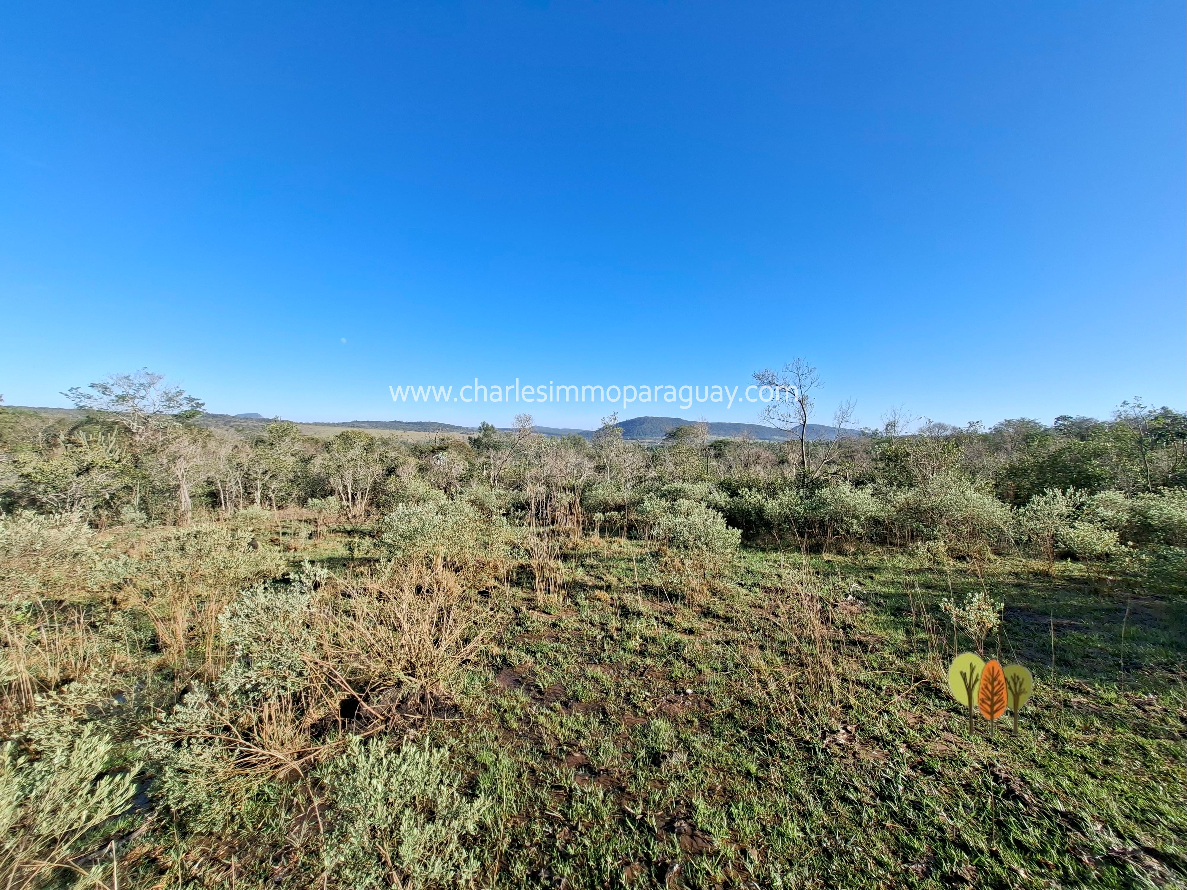 Propiedad de 41,9 ha en venta – Arroyos, playa y vistas únicas - La Colmena - 6