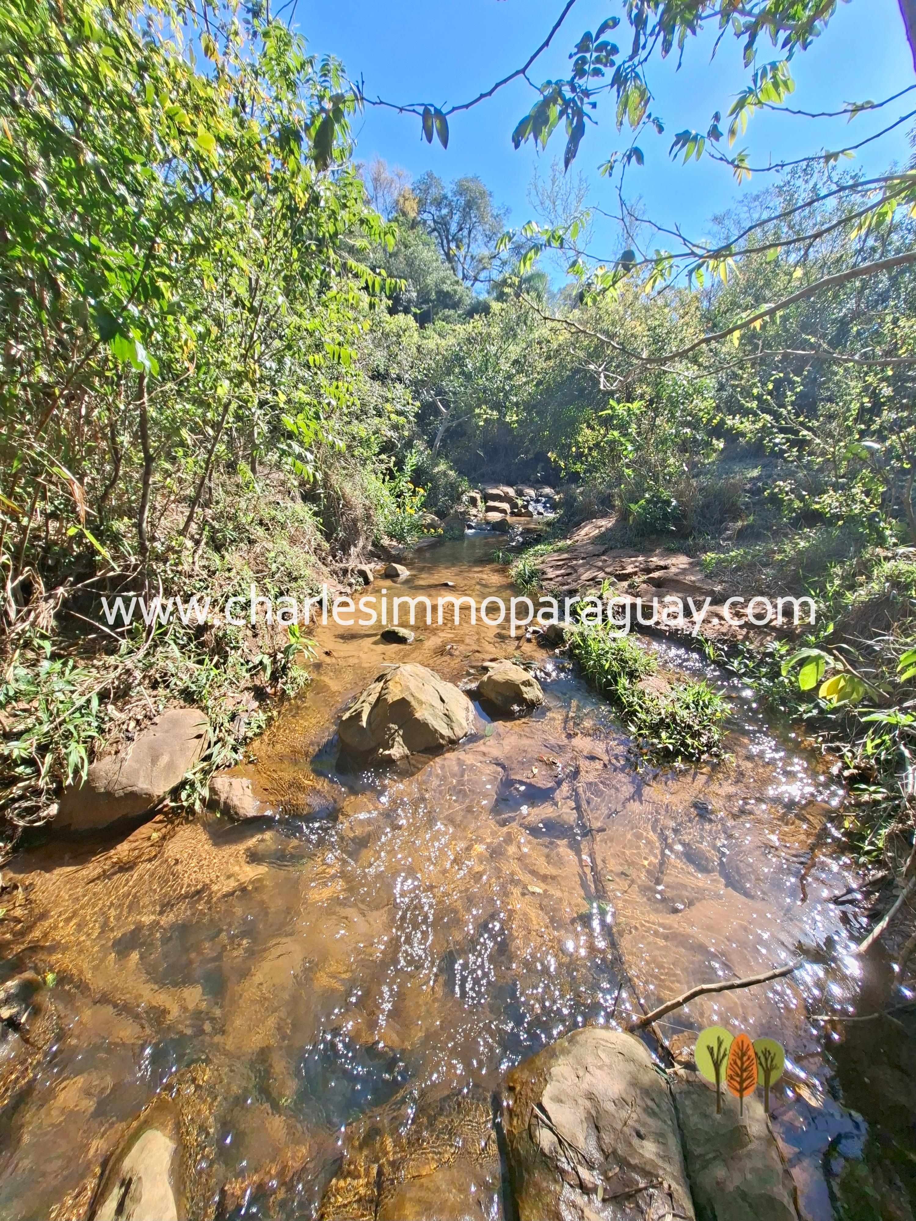 Propiedad de 41,9 ha en venta – Arroyos, playa y vistas únicas - La Colmena - 11