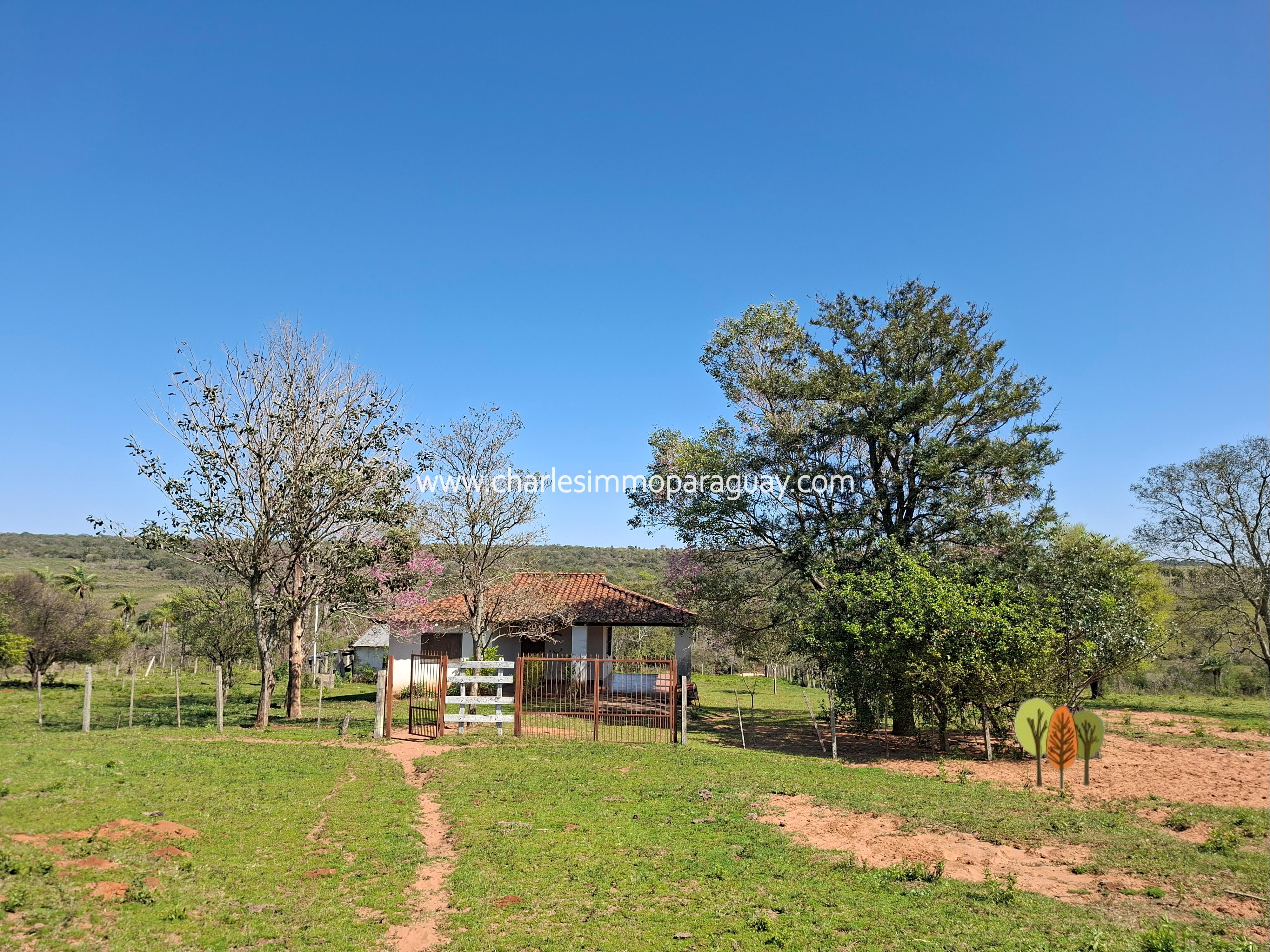 Propiedad de 41,9 ha en venta – Arroyos, playa y vistas únicas - La Colmena - 12