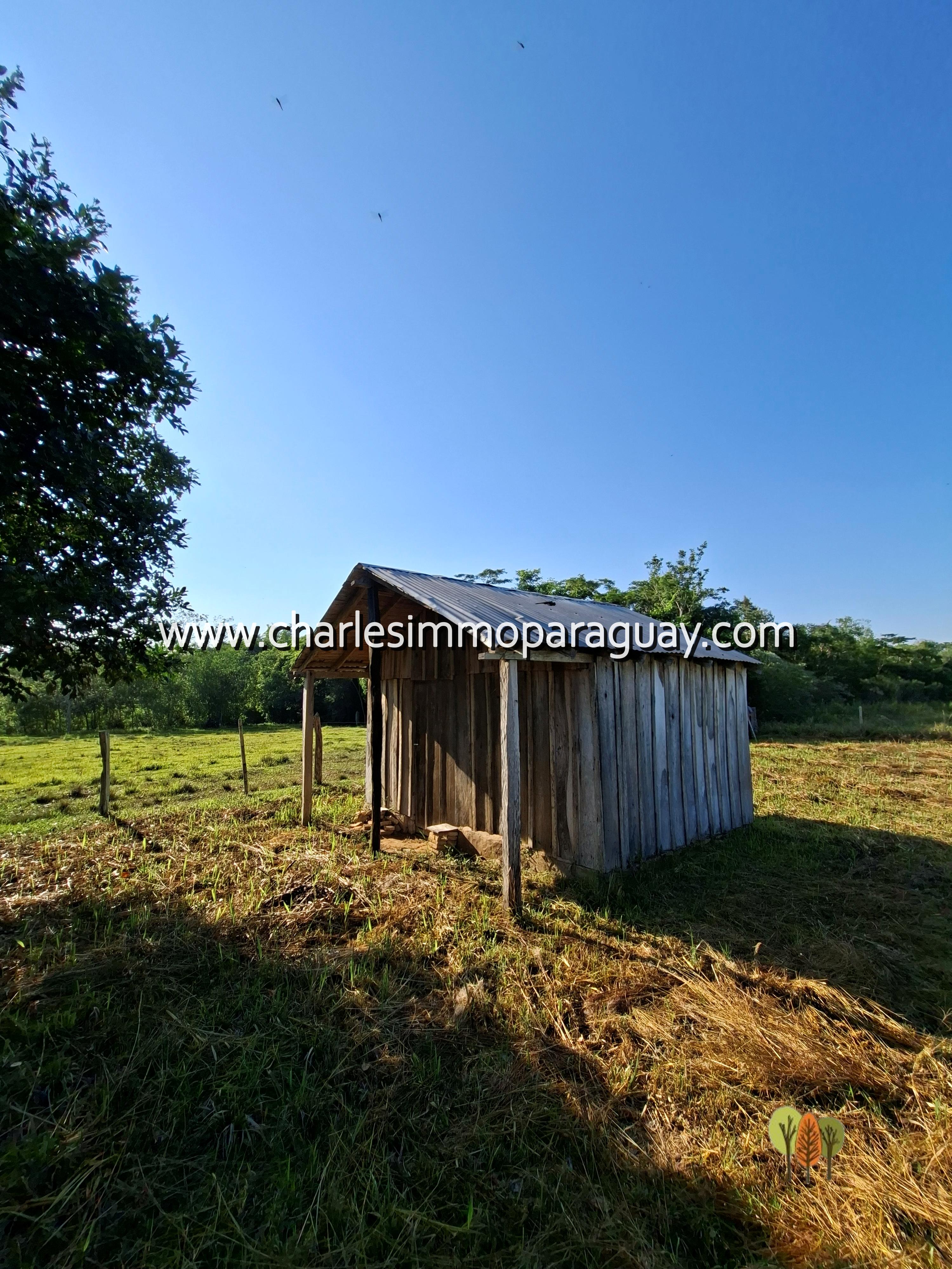 Terreno de 95,8 hectáreas en venta – La Colmena / Villarrica - 2