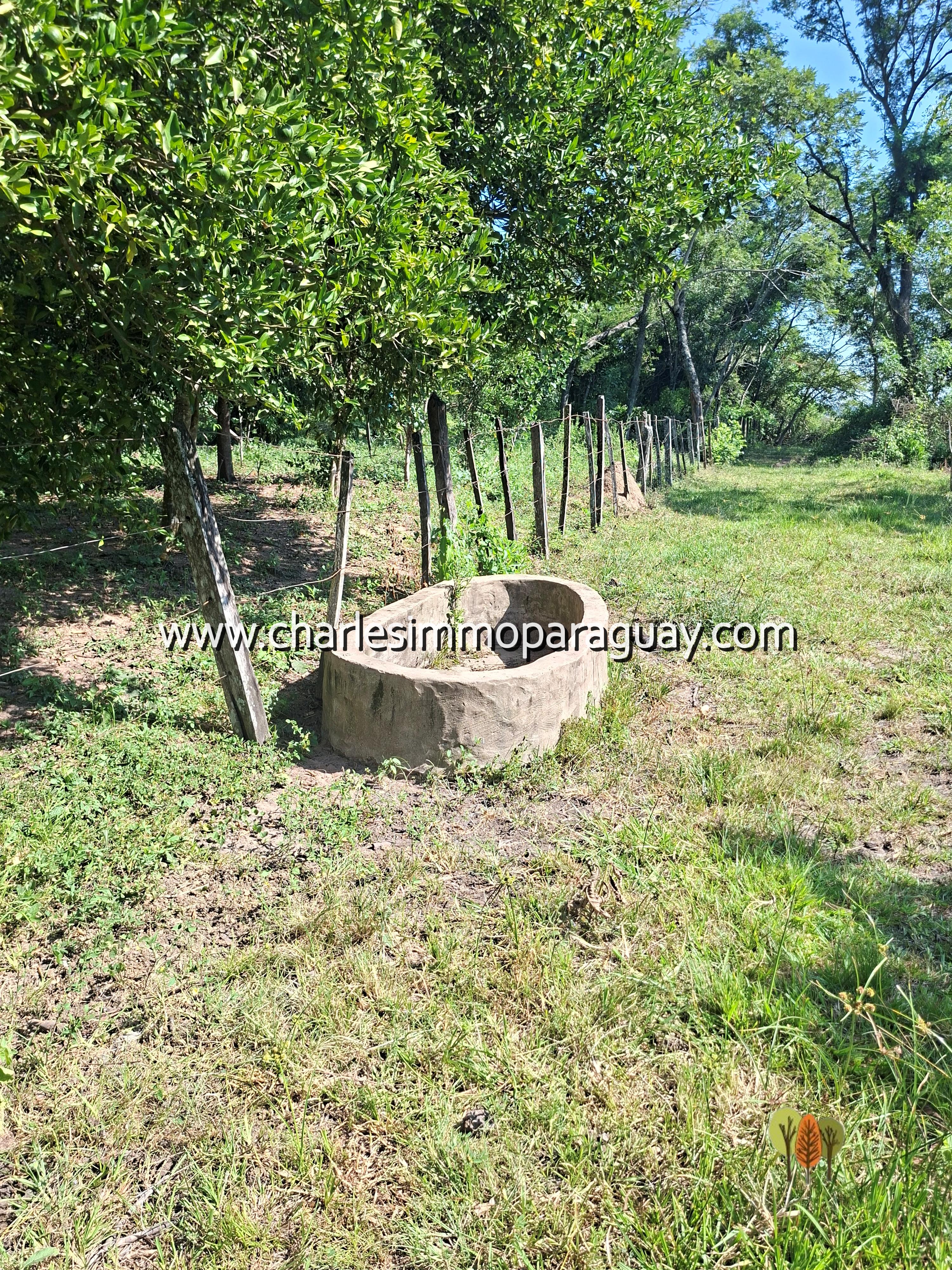 Terreno de 95,8 hectáreas en venta – La Colmena / Villarrica - 7