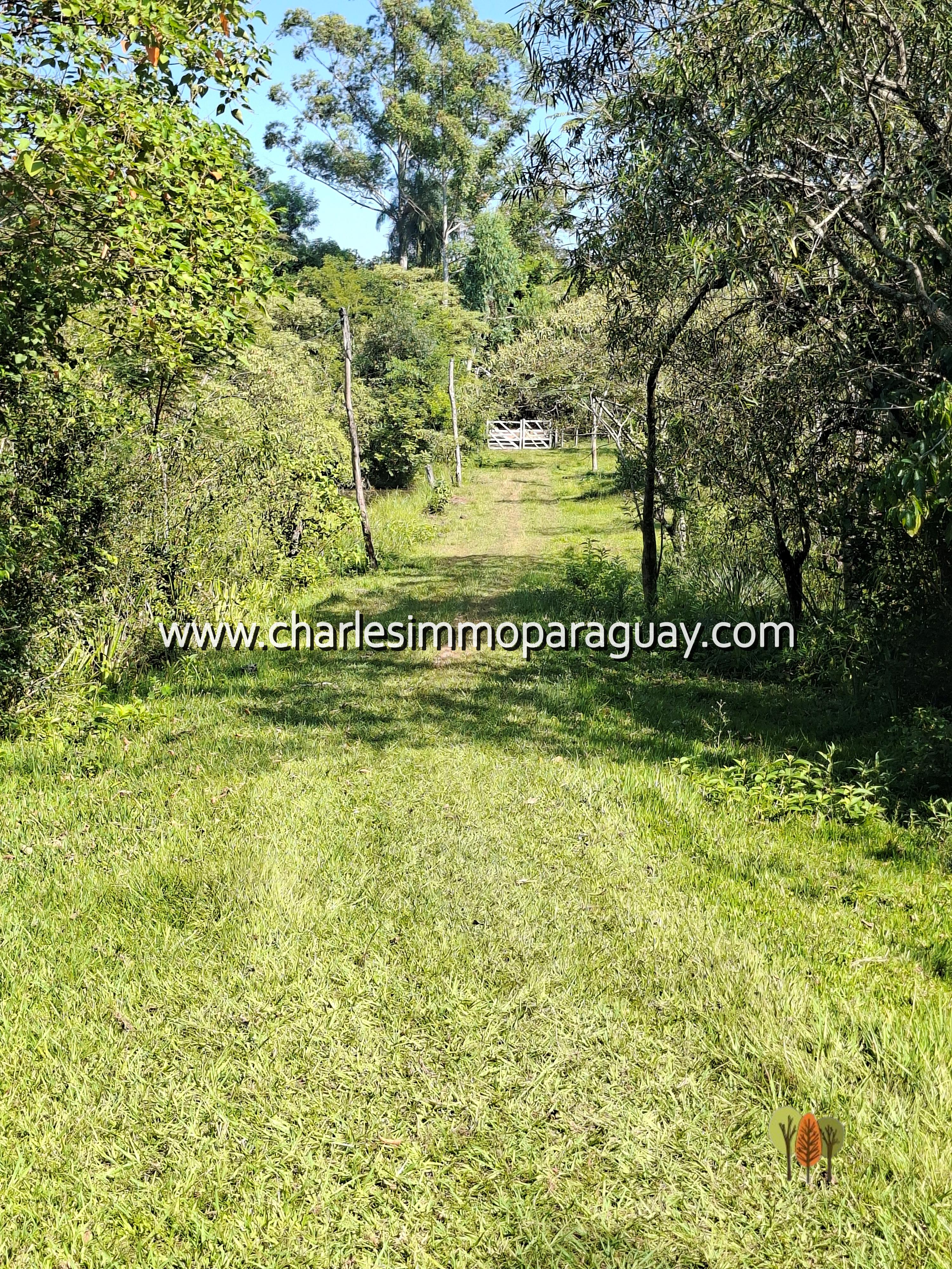 Terreno de 95,8 hectáreas en venta – La Colmena / Villarrica - 8