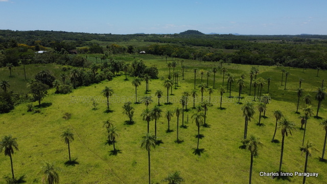En Venta – Propiedad de 29 Hectáreas con Casa en La Colmena - imagen 16