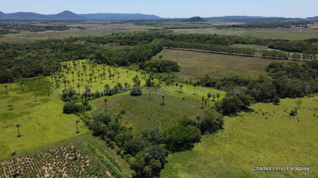 En Venta – Propiedad de 29 Hectáreas con Casa en La Colmena - imagen 17